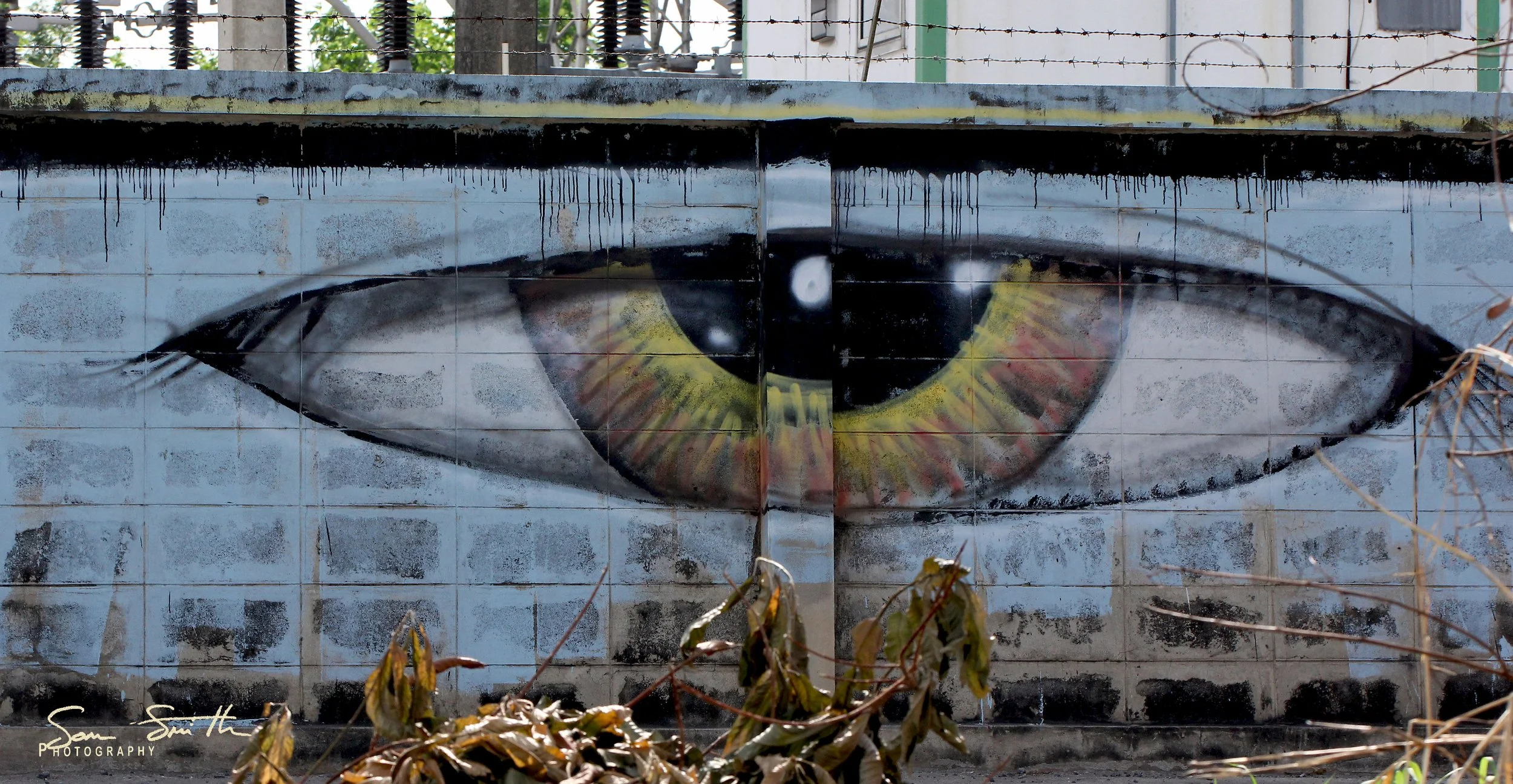 2017 Graffiti Tour in Bangkok (538).JPG