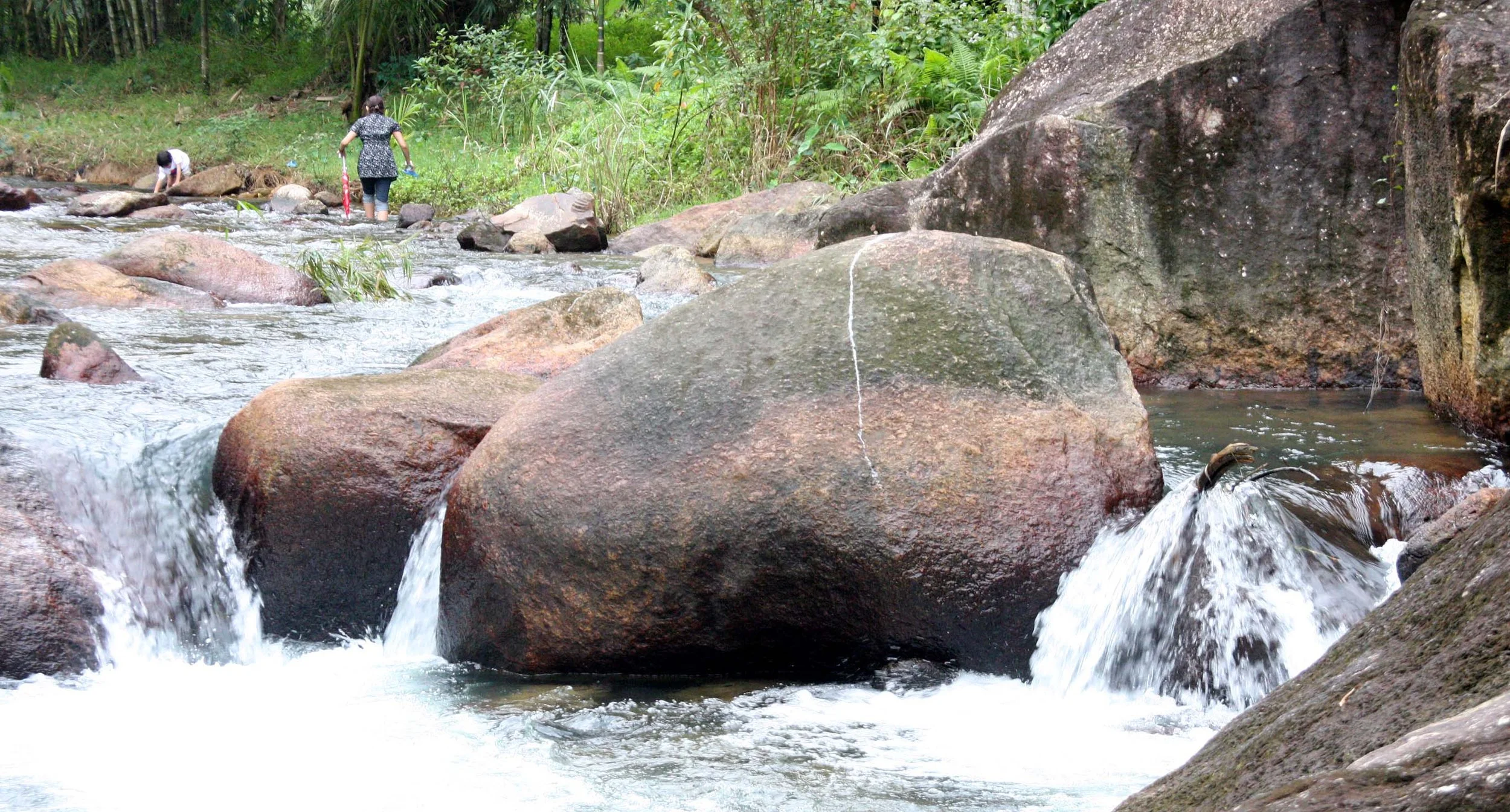 2009 Promluk Property Views (24).JPG