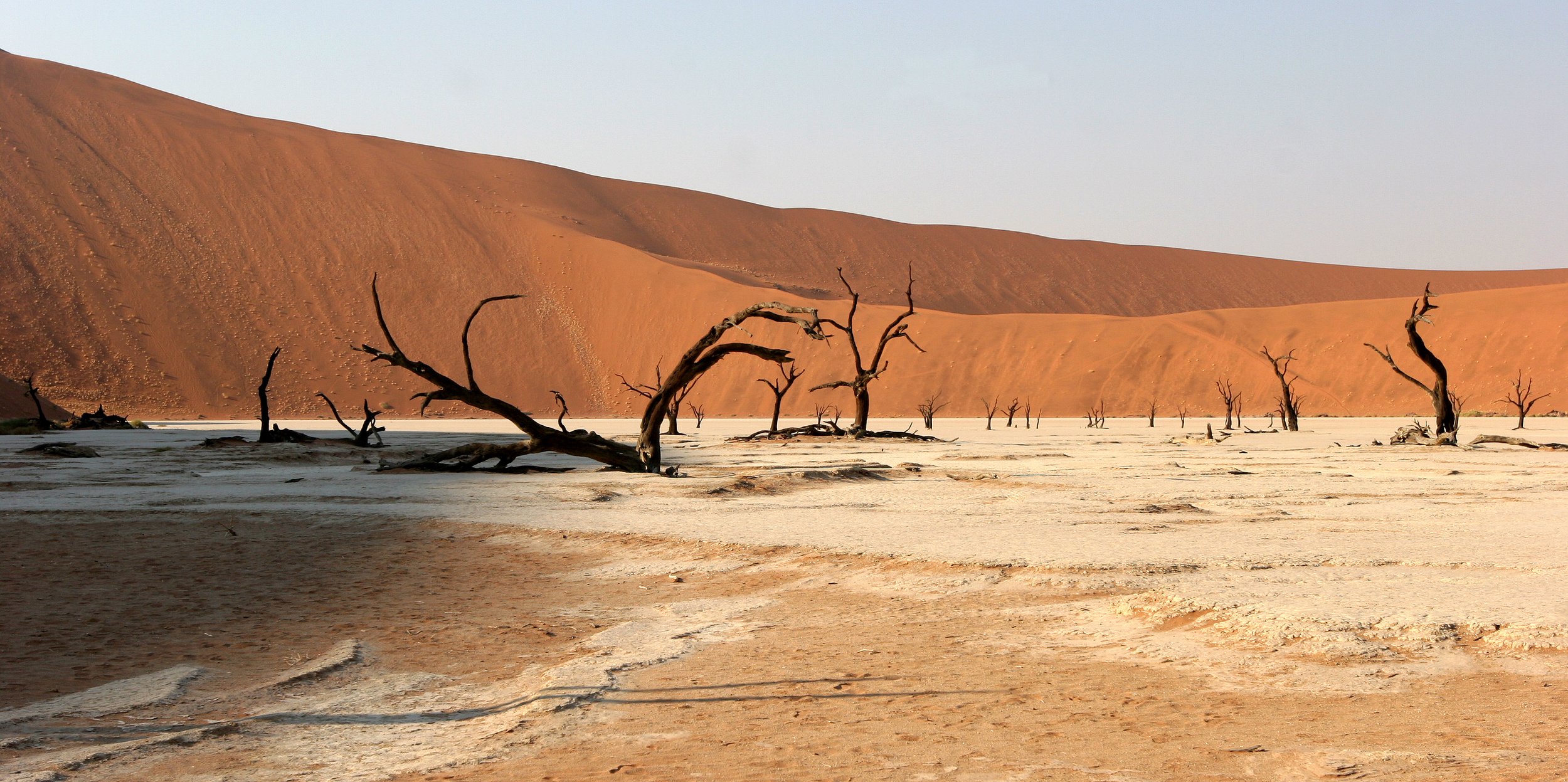 NAMIBIA - SOSSUSVLEI - DEAD VLEI - NAMIBIA (8).JPG
