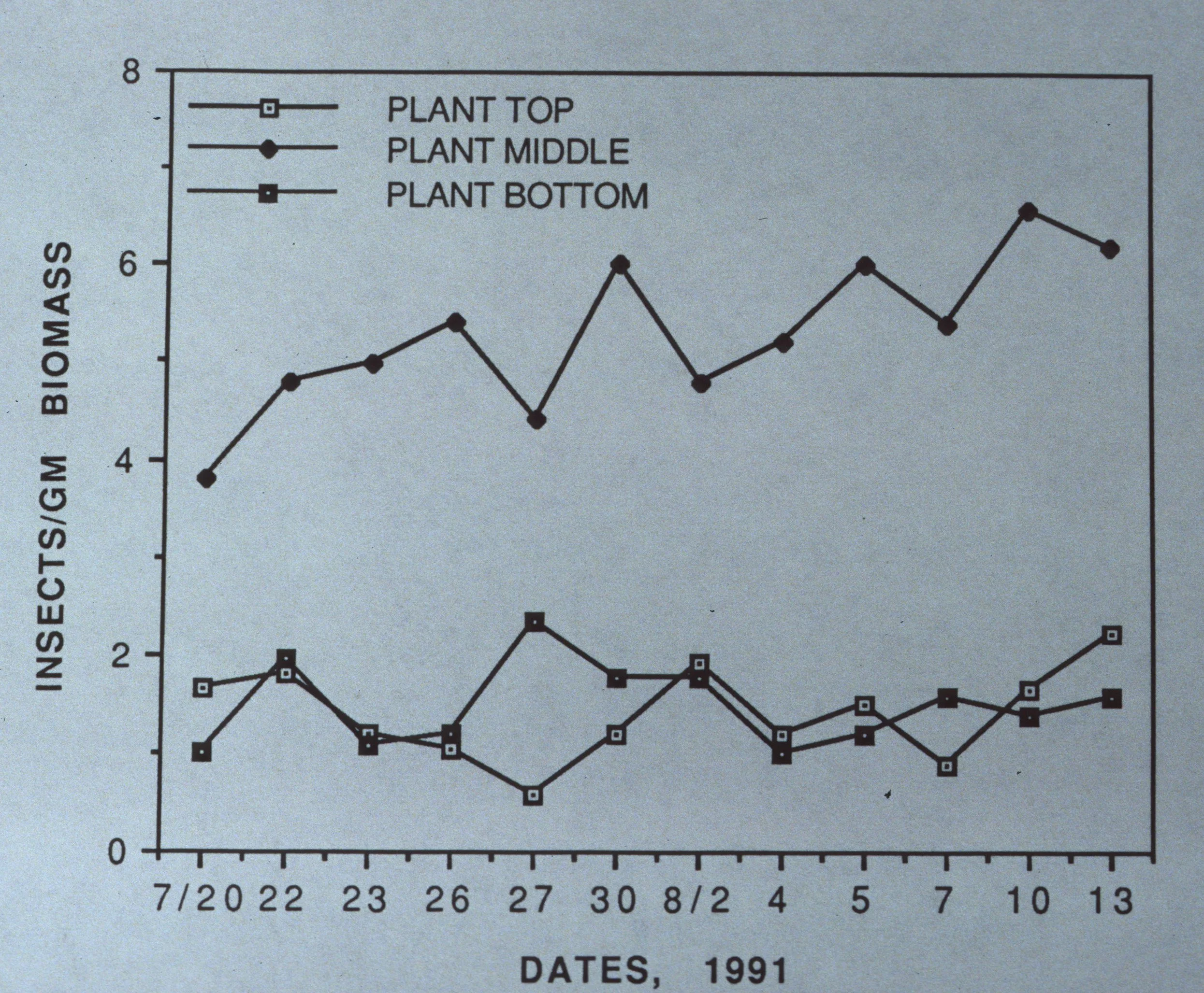 ARIZONA - MADERA CANYON - RESEARCH - RESULTS C.jpg