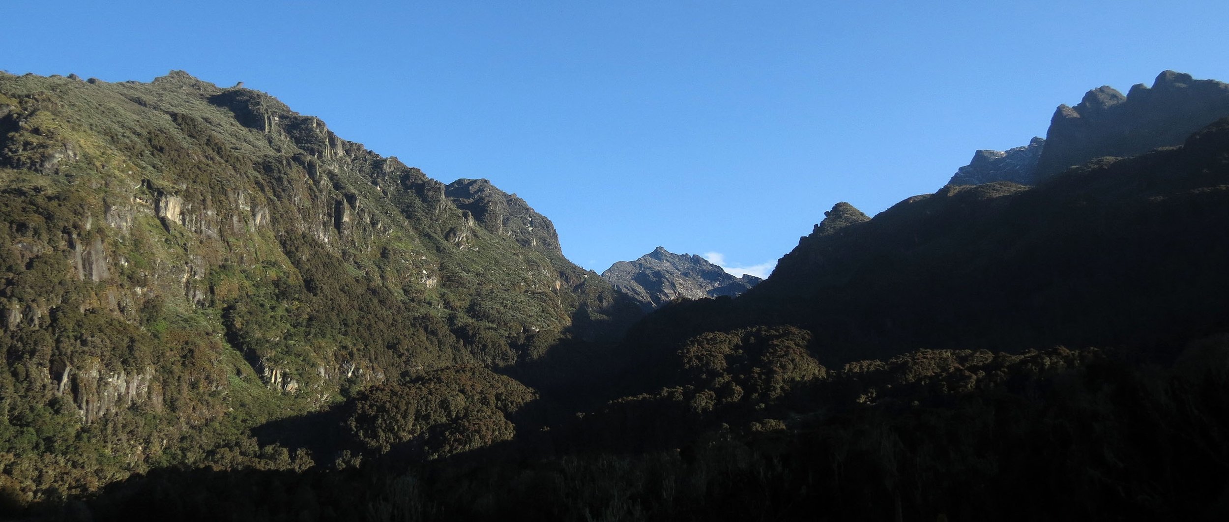 RWENZORI NATIONAL PARK UGANDA (248).JPG