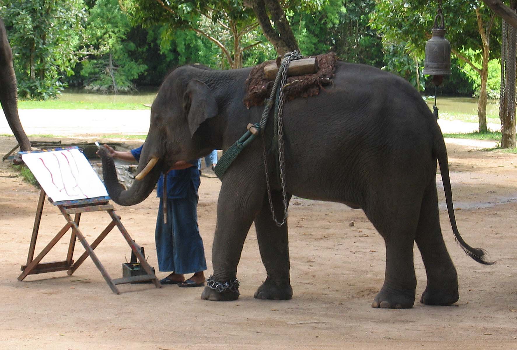 2008 Lampang City & Elephant Center (144).jpg
