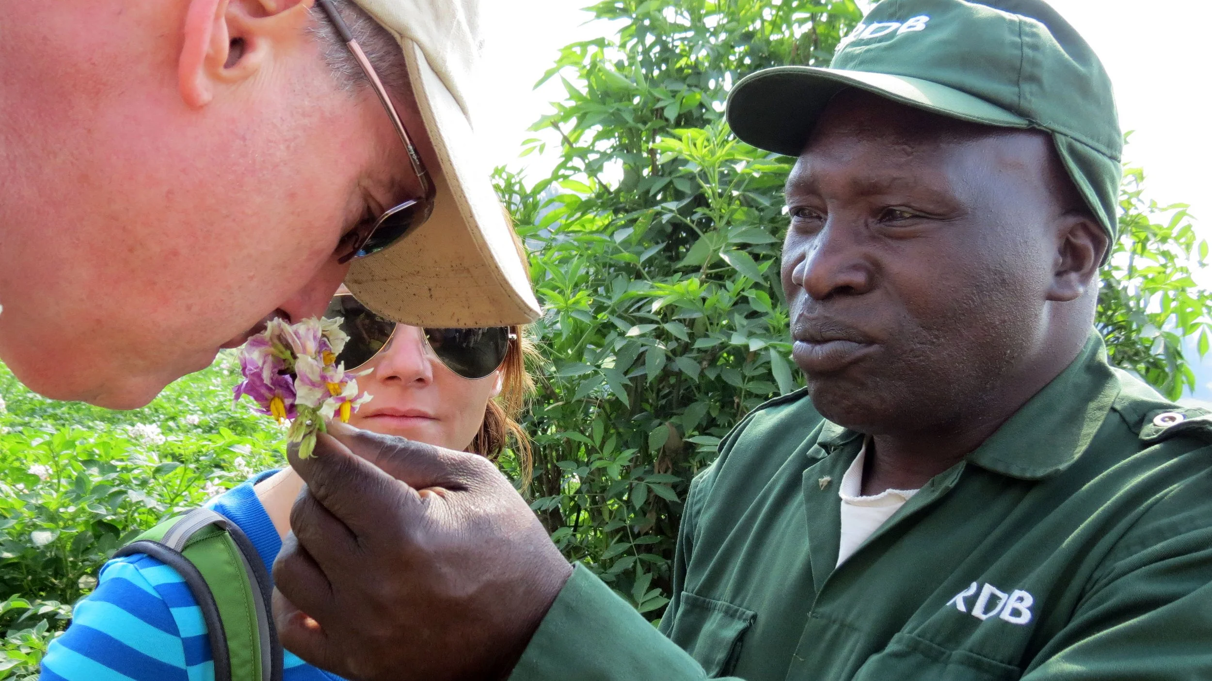 PARC DU VULCANS RWANDA (46).JPG