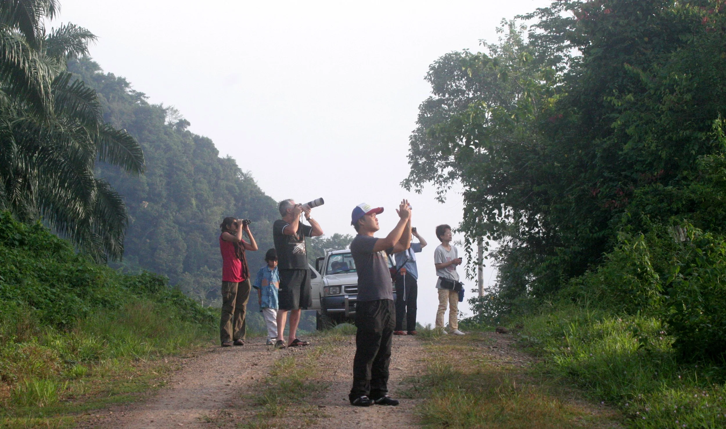 TABIN WILDLIFE RESERVE BORNEO - VIEWING ORANGUTANS (2).JPG