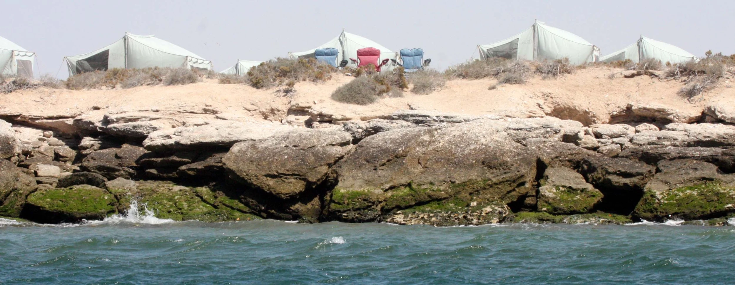 SAN IGNACIO LAGOON BAJA MEXICO - CAMPO BAJA ECOTOURS.JPG