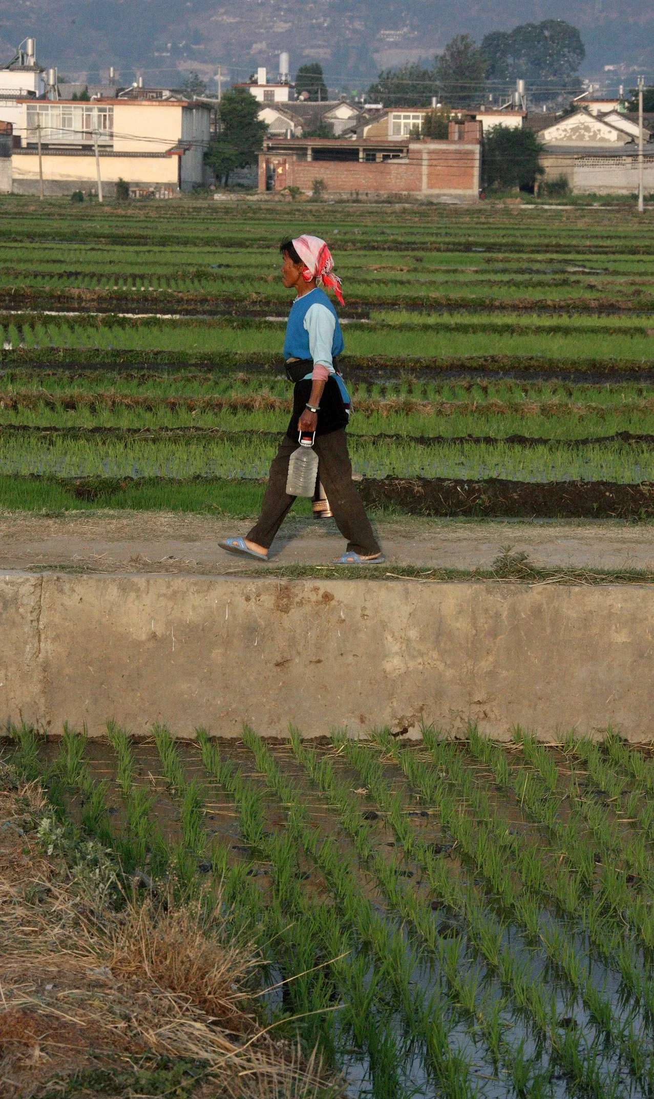 LINDEN CENTER - XIZHOU VILLAGE YUNNAN CHINA (107).JPG