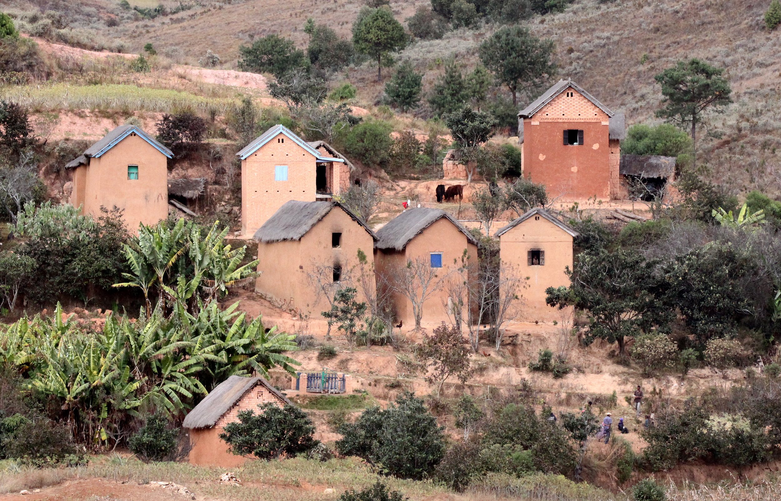 CENTRAL HIGHLANDS - ROAD TO RANOMAFANA (14).JPG