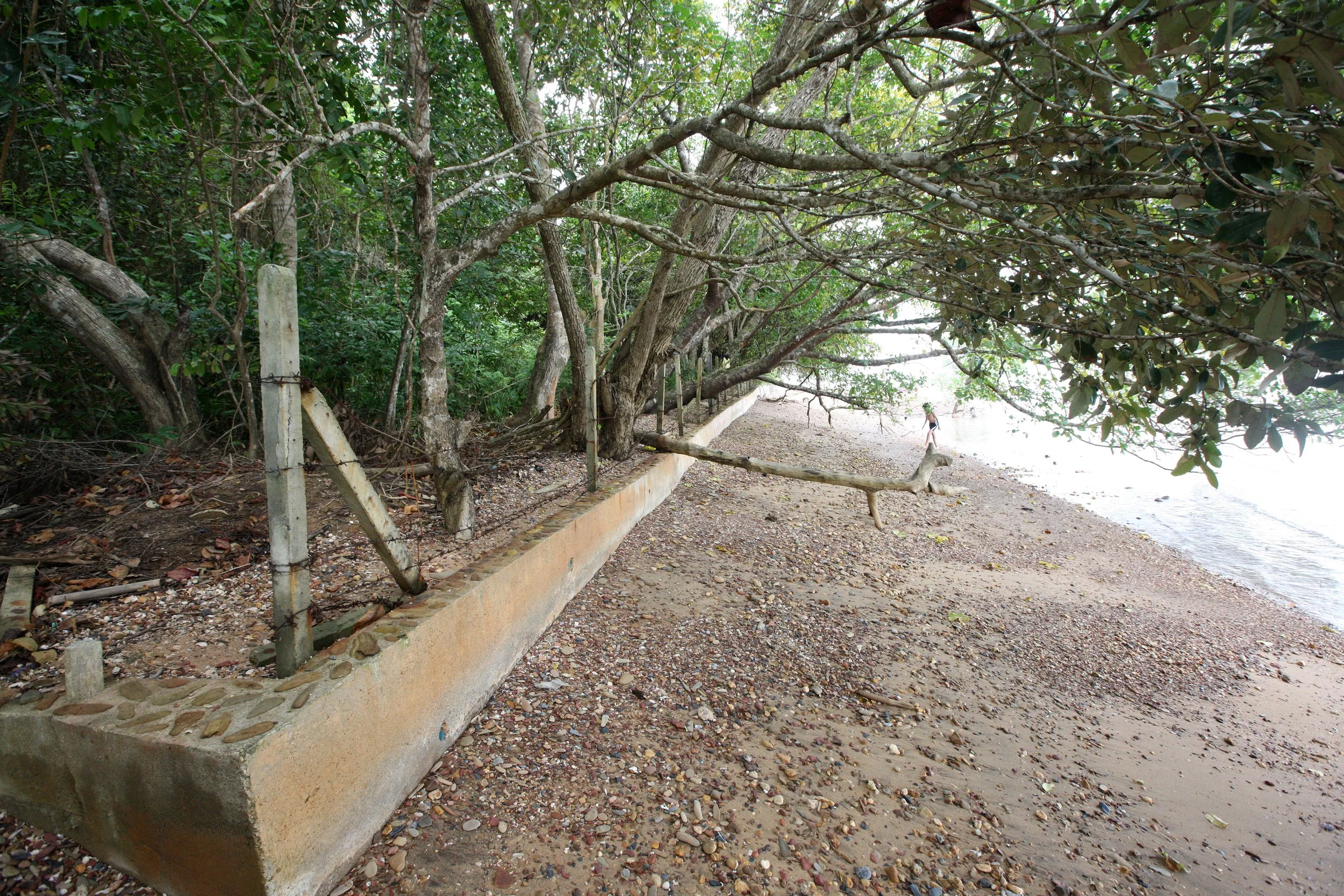 LANTA ISLAND - OUR PROPERTY - WINTER 2011 (17).JPG