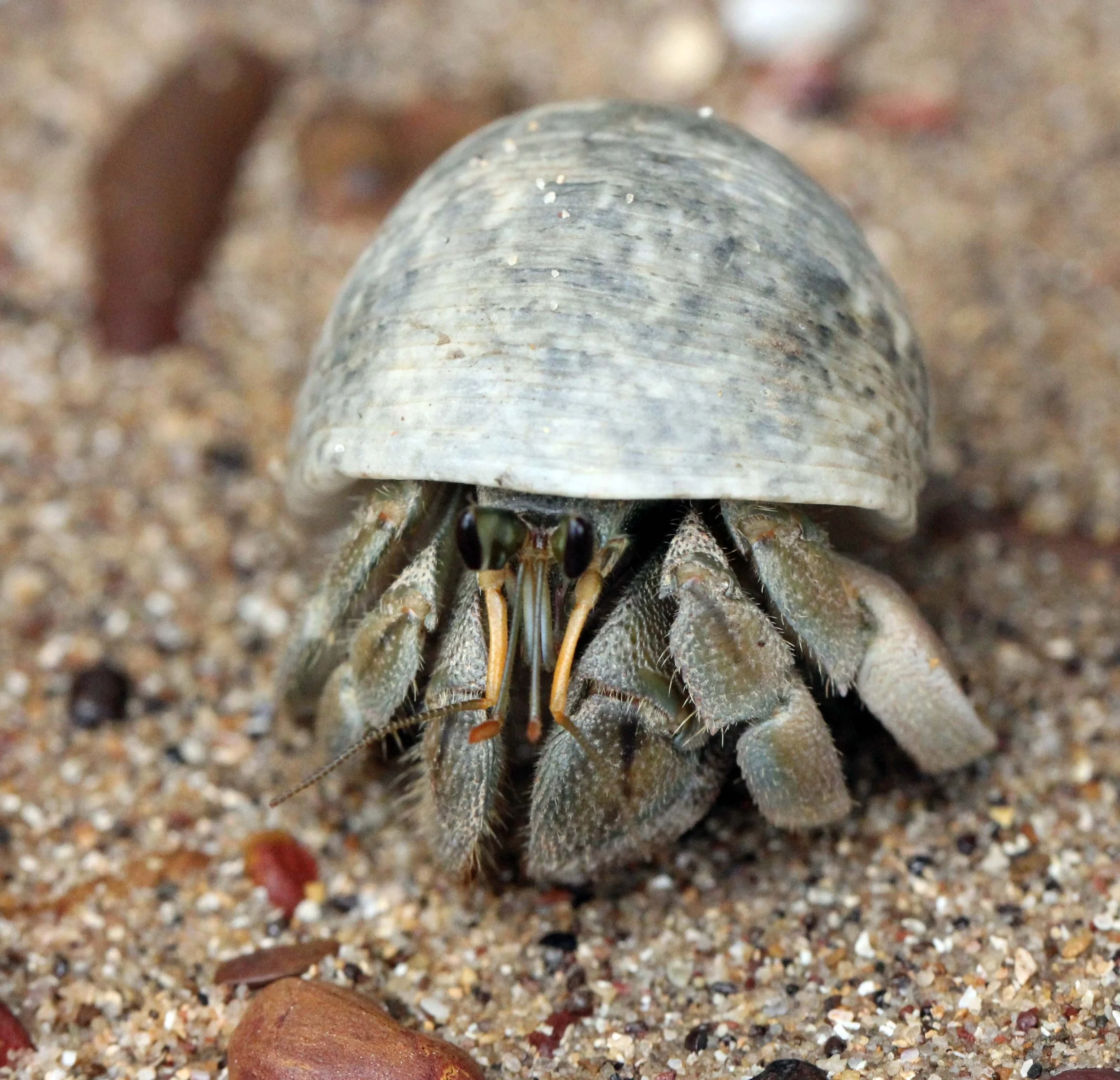 2013 KOH LANTA - OCTOBER BREAK 2013 (268).JPG