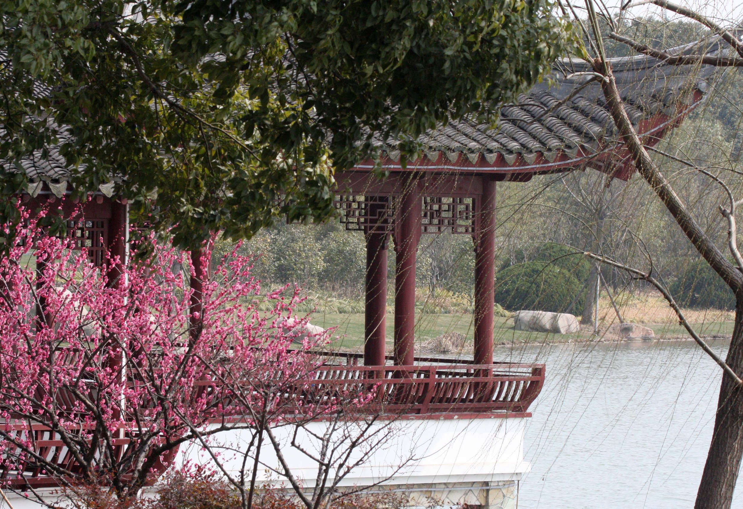 2011-3-4 PARK NEAR JINQIAO SHANGHAI (7).JPG