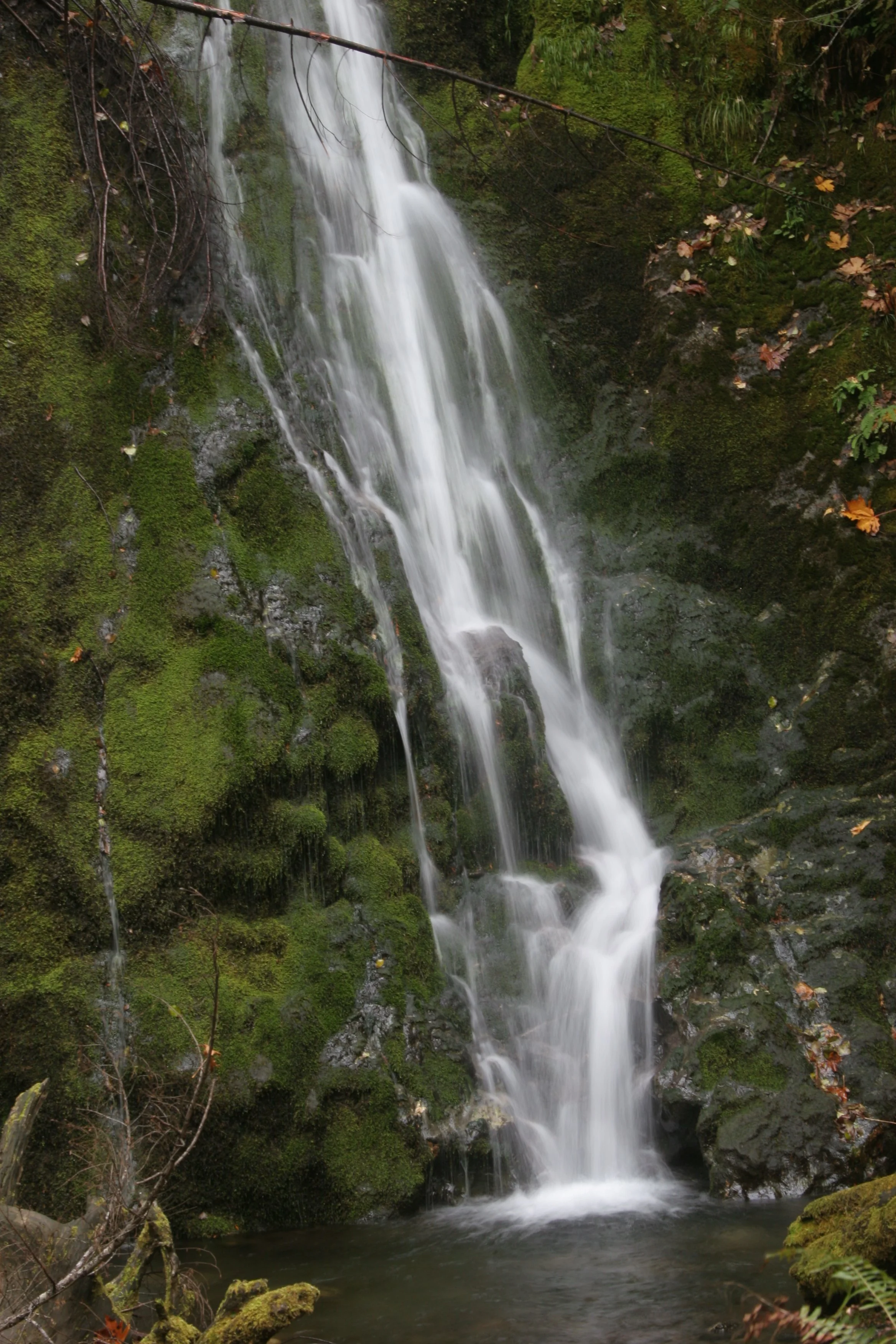 2005-10-22 WALK IN TO OLYMPIC RAINFOREST (2).JPG