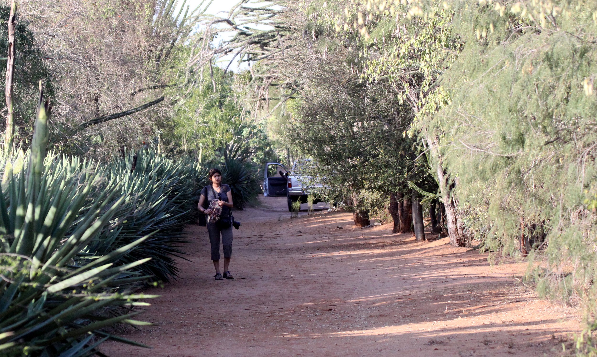 BERENTY RESERVE MADAGASCAR - TREKKING THE SPINY FOREST (2).JPG