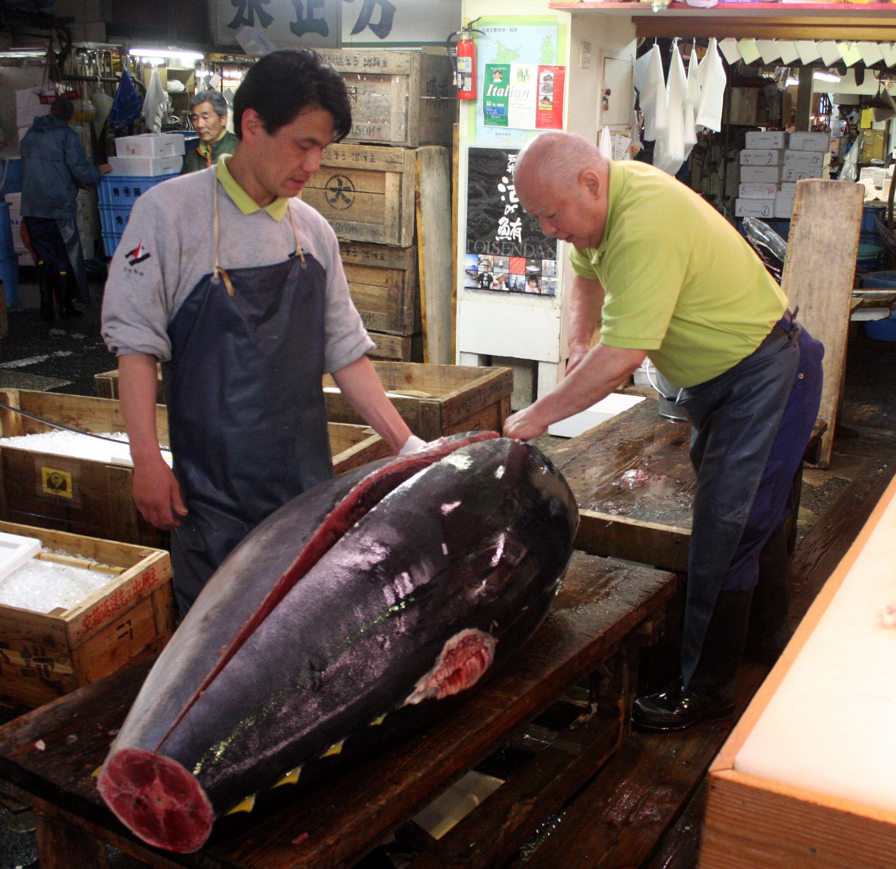 TOKYO - MAY 2009 - TSUKIJI MARKET (34).JPG