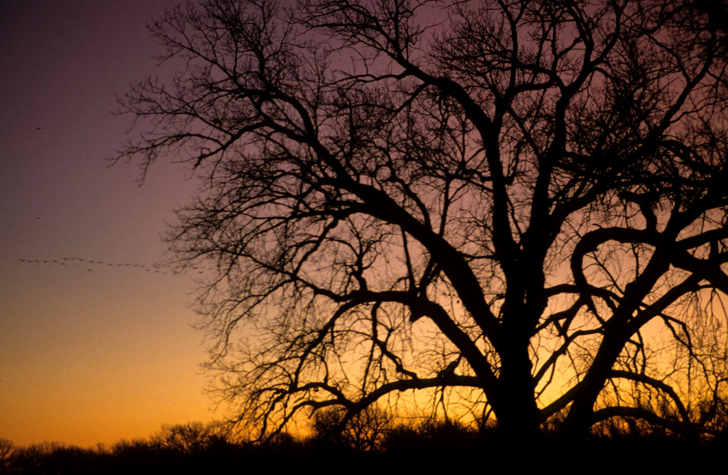GREAT PLAINS - NEBRASKA SUNRISE.jpg