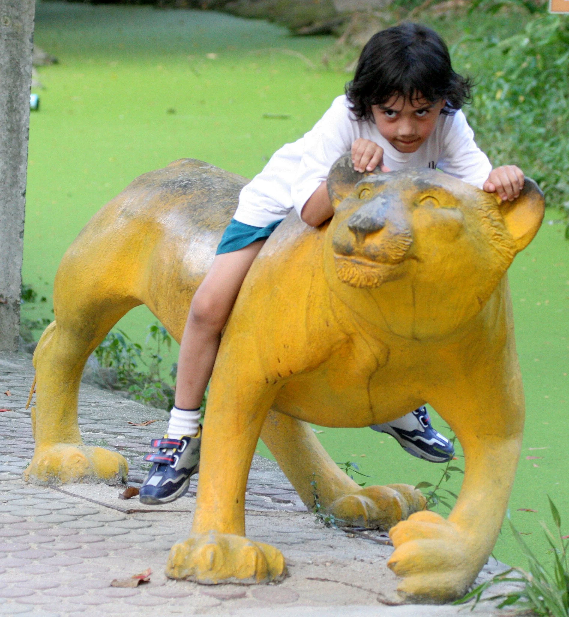 2008 Nakhonsithammarat Summer Trip (5).JPG