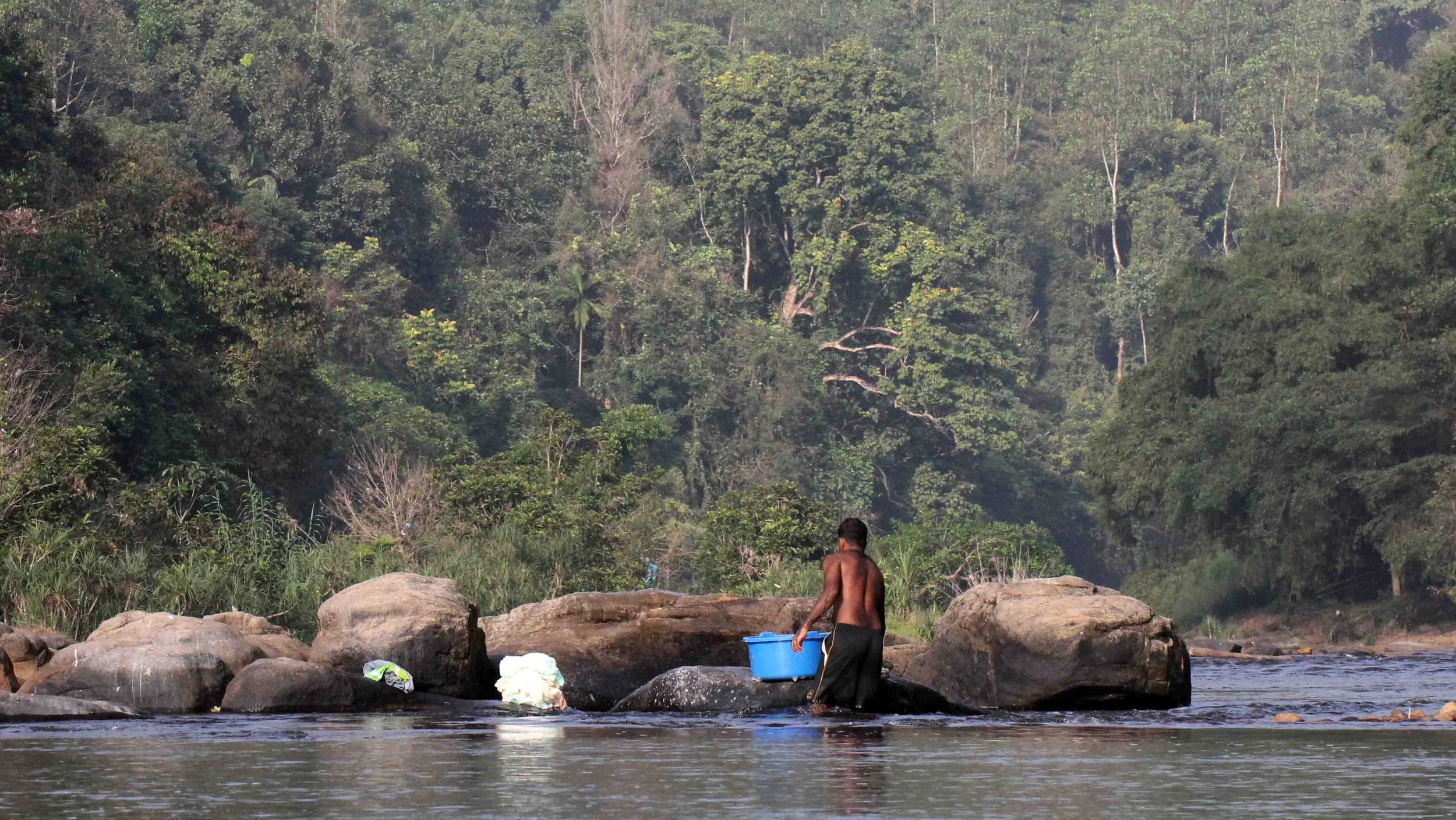 KITULGALA FOREST PRESERVE, SRI LANKA (23).JPG