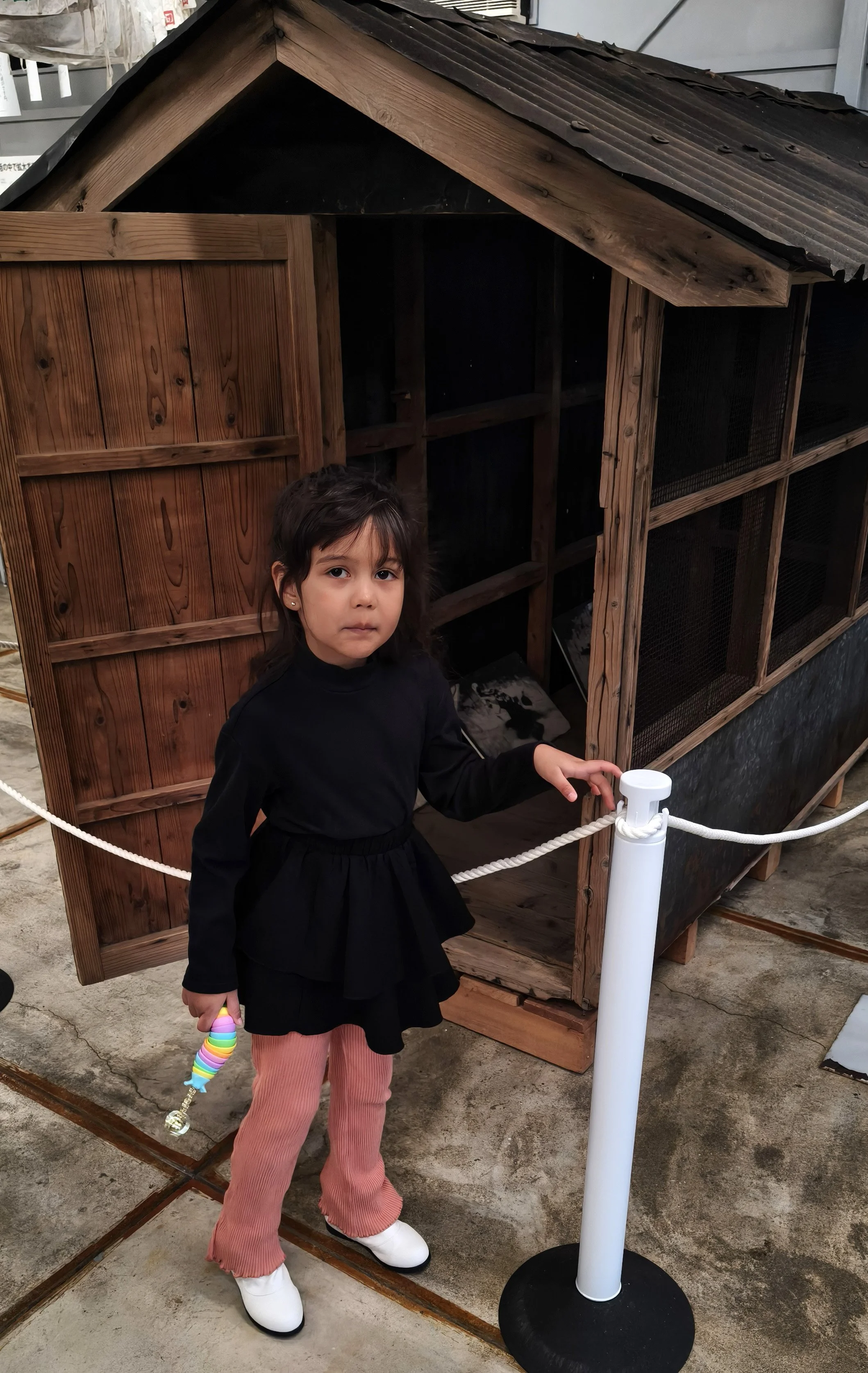 The actual "Cat Experiment Shed" as a tangible piece of evidence of the factory's early knowledge of the pollution and its cover-up.