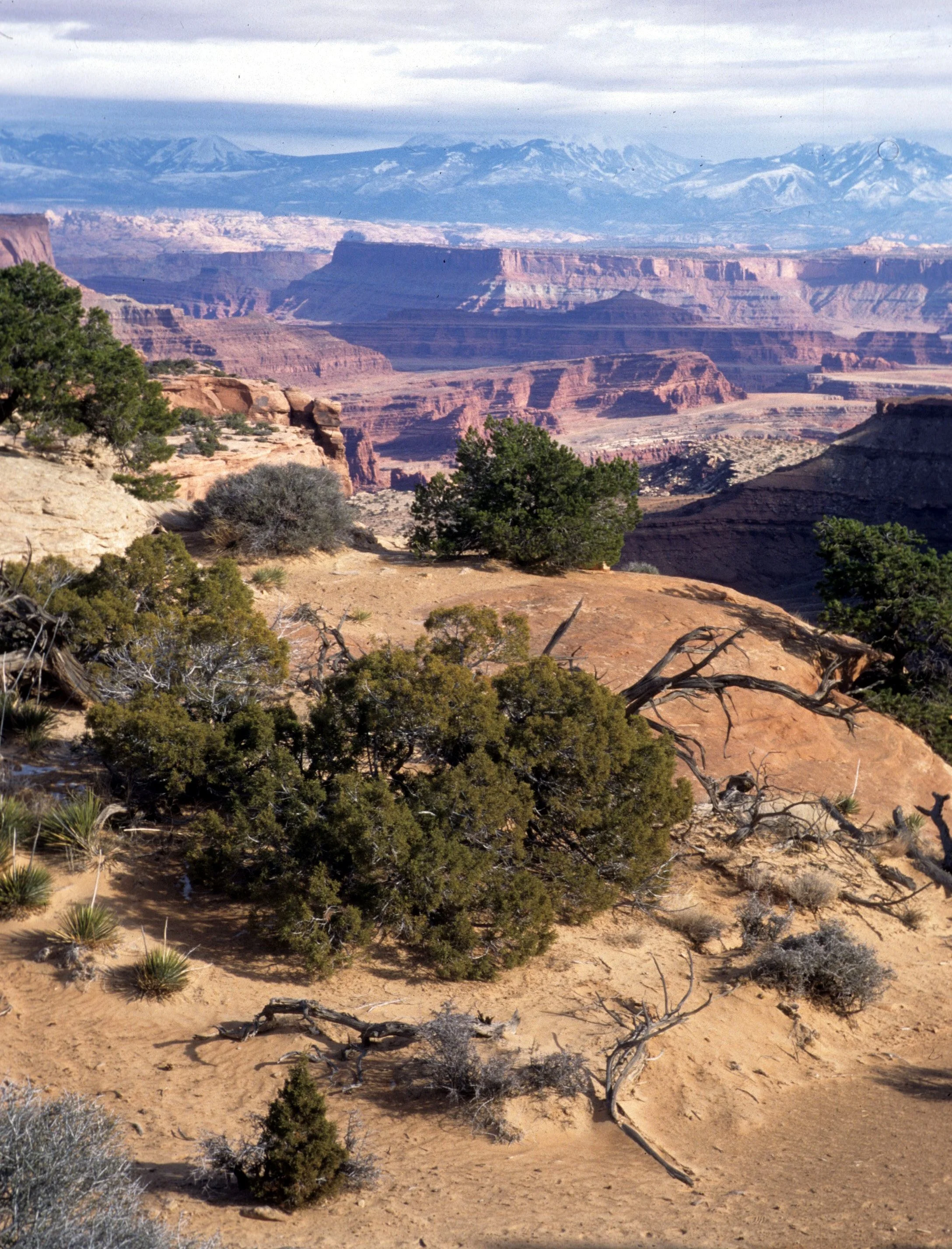 UTAH - CANYONLANDS NP - VIEWS OF (2).jpg