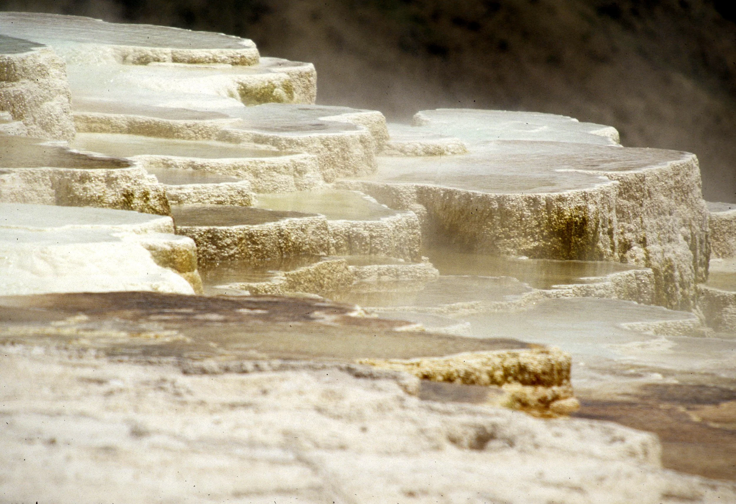 YELLOWSTONE - MAMMOTH HOTSPRINGS D.jpg