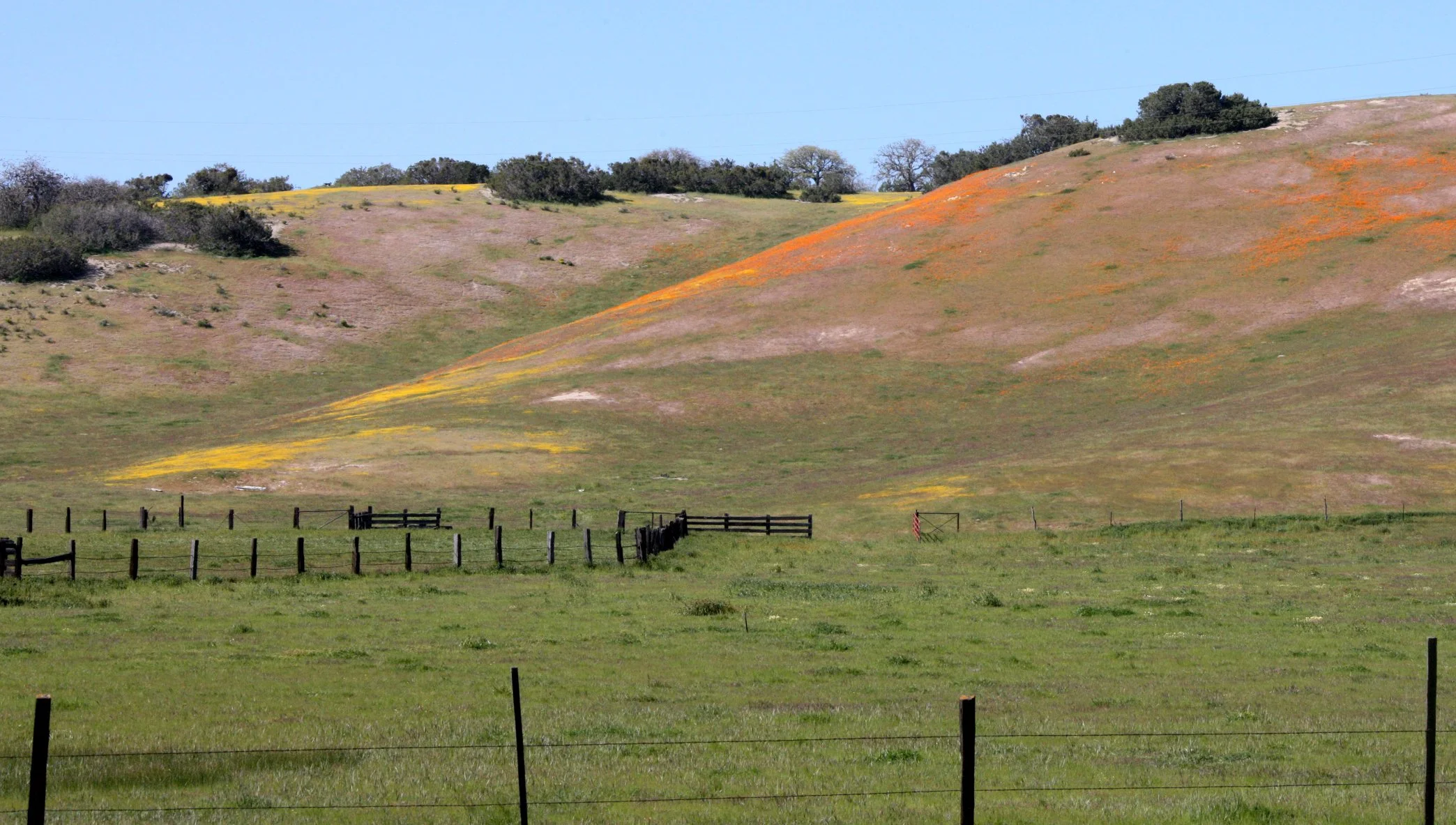 CARRIZO PLAIN NATIONAL MONUMENT - VIEWS OF THE REGION - ROADTRIP 2010 (106).JPG