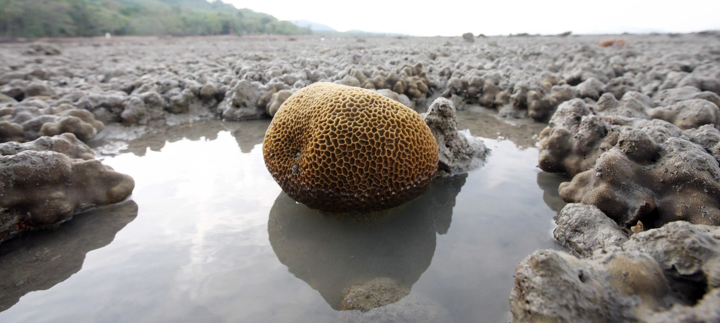 2015 Koh Lanta Songkran with friends from ISB (247).JPG