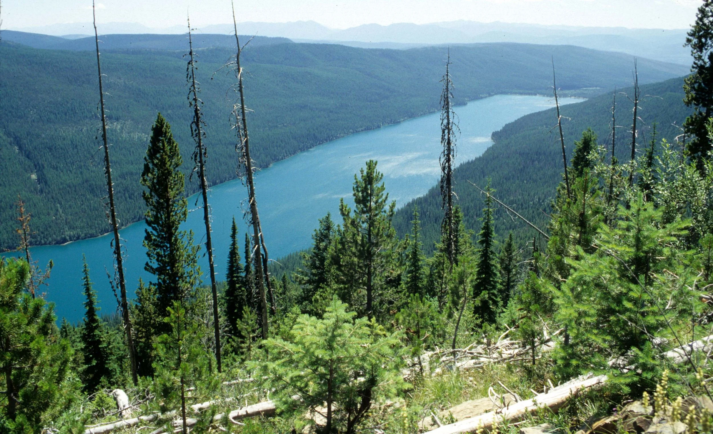 MONTANA - GLACIER - GLACIER NATIONAL PARK VIEWS (10).jpg