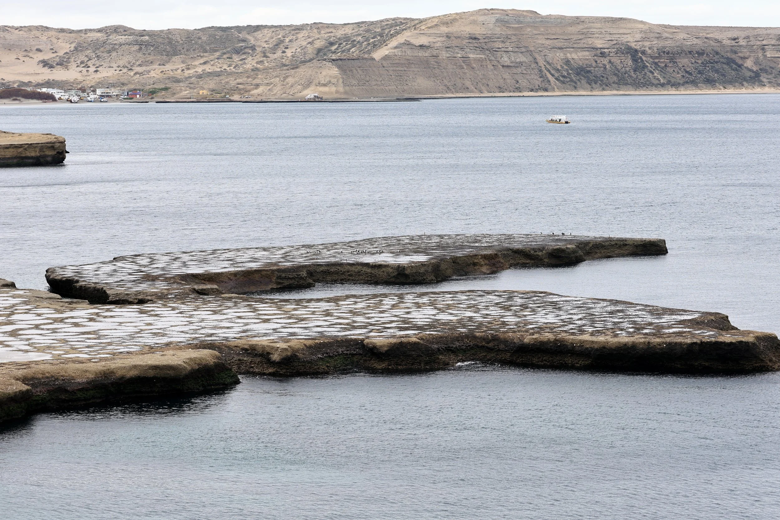 Valdes Peninsula, Chubut Province, Argentina Day 2 (640).jpg