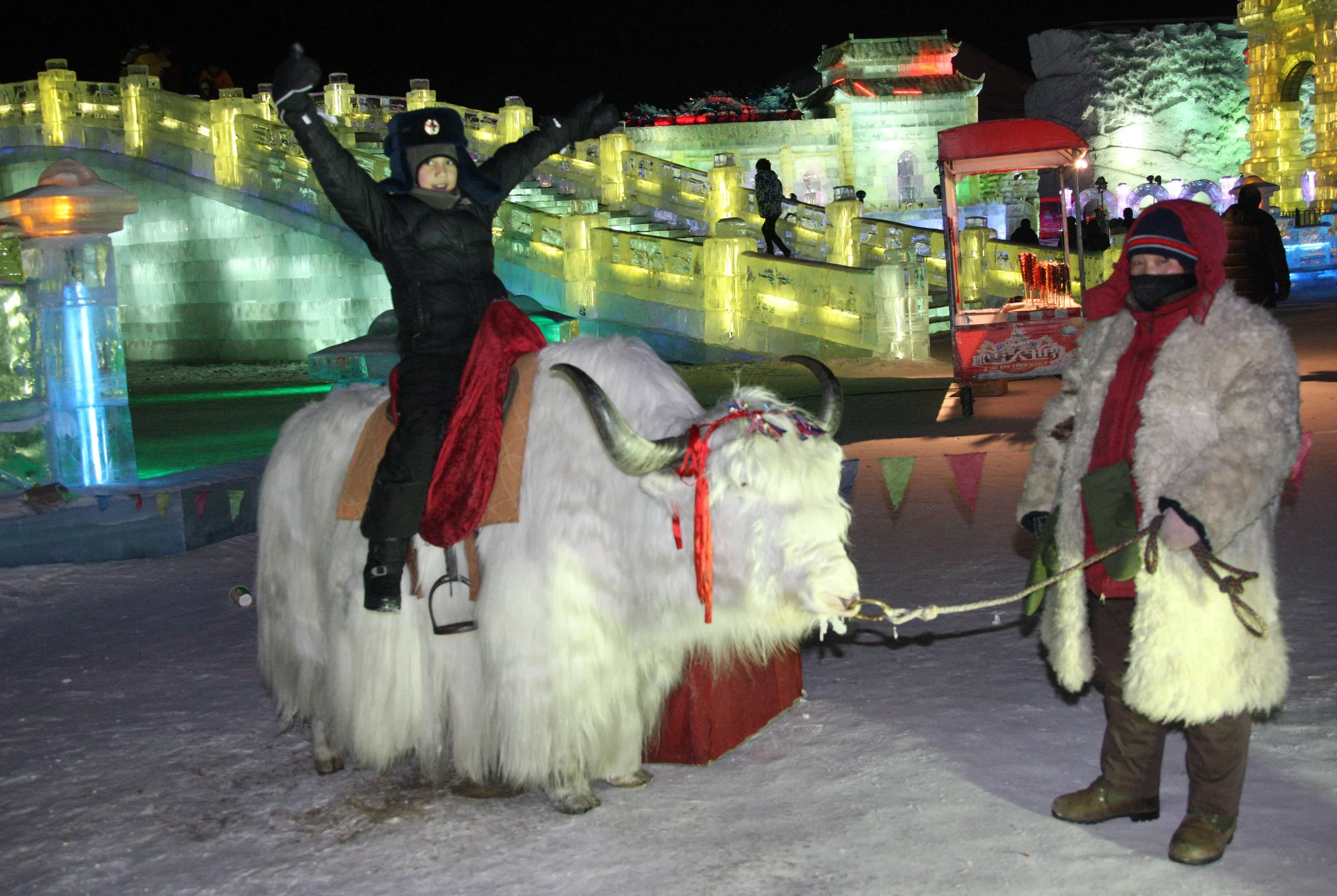 HARBIN ICE & SNOW FESTIVAL FEBRUARY 2012 (86).JPG