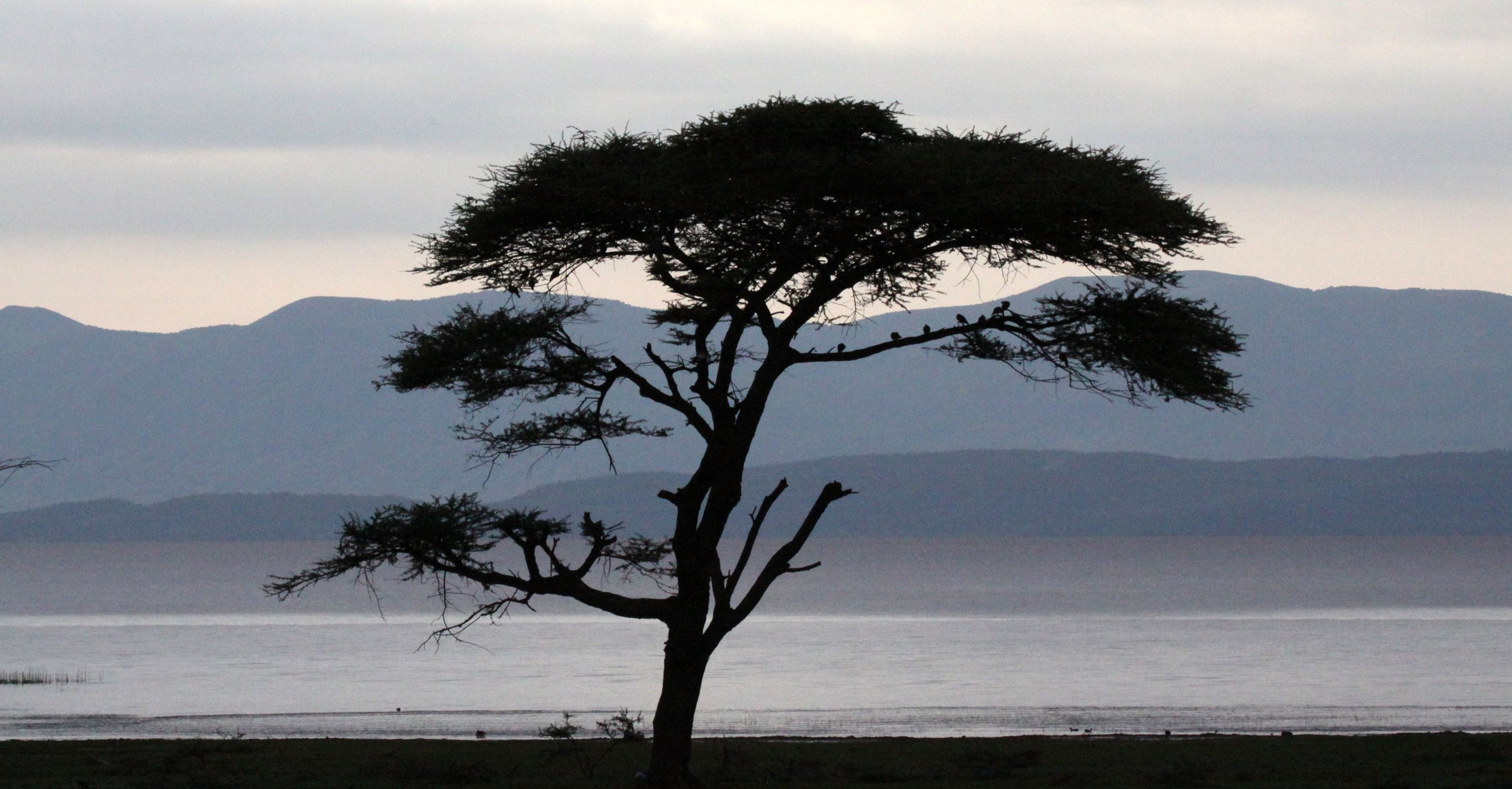 LANGANO LAKE ETHIOPIA (22).JPG