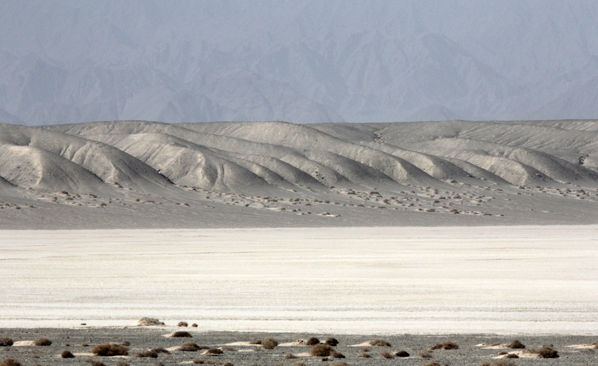 LOP NUR WILD BACTRIAN CAMEL RESERVE - XINJIANG CHINA (150).JPG