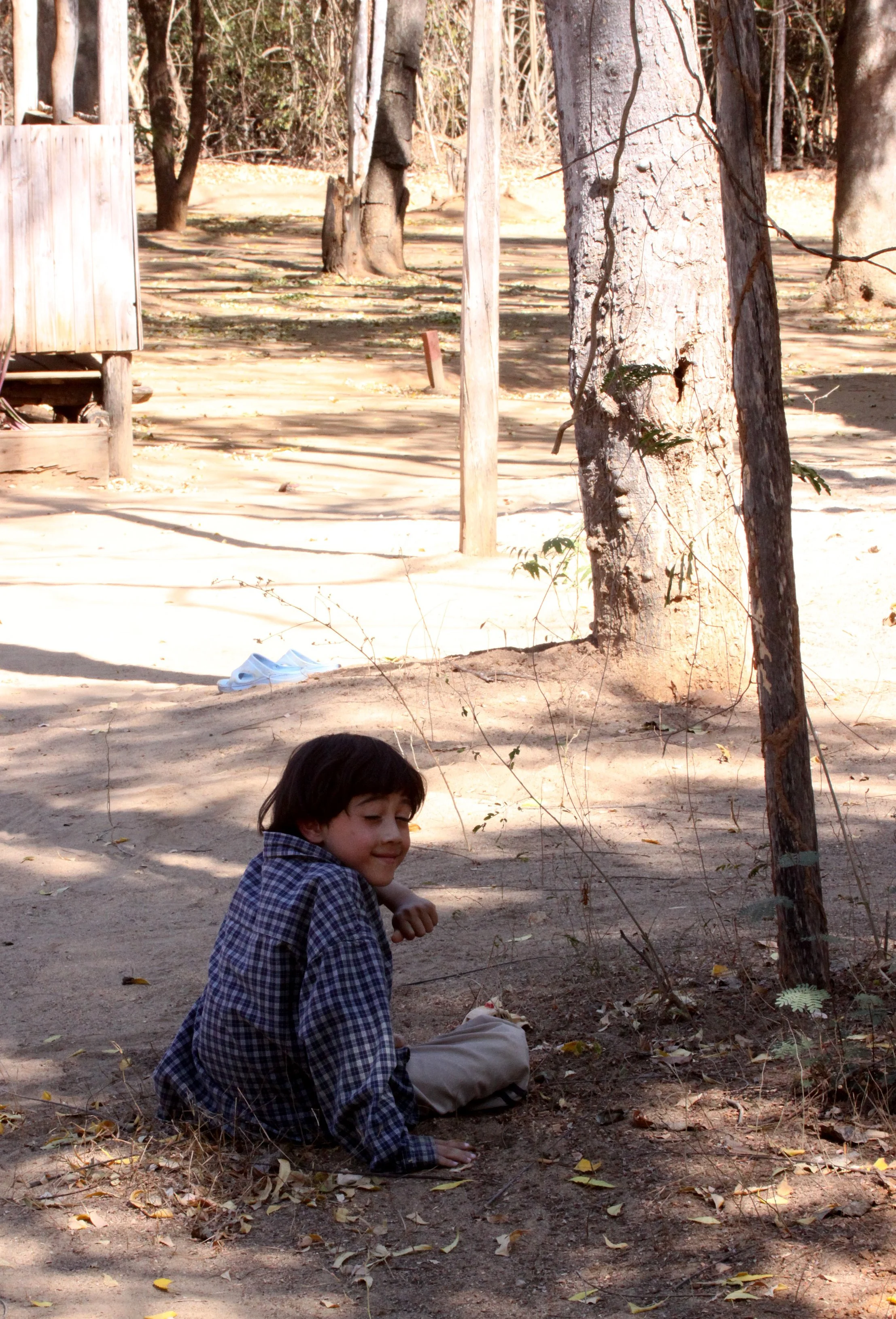 Kirindy National Park