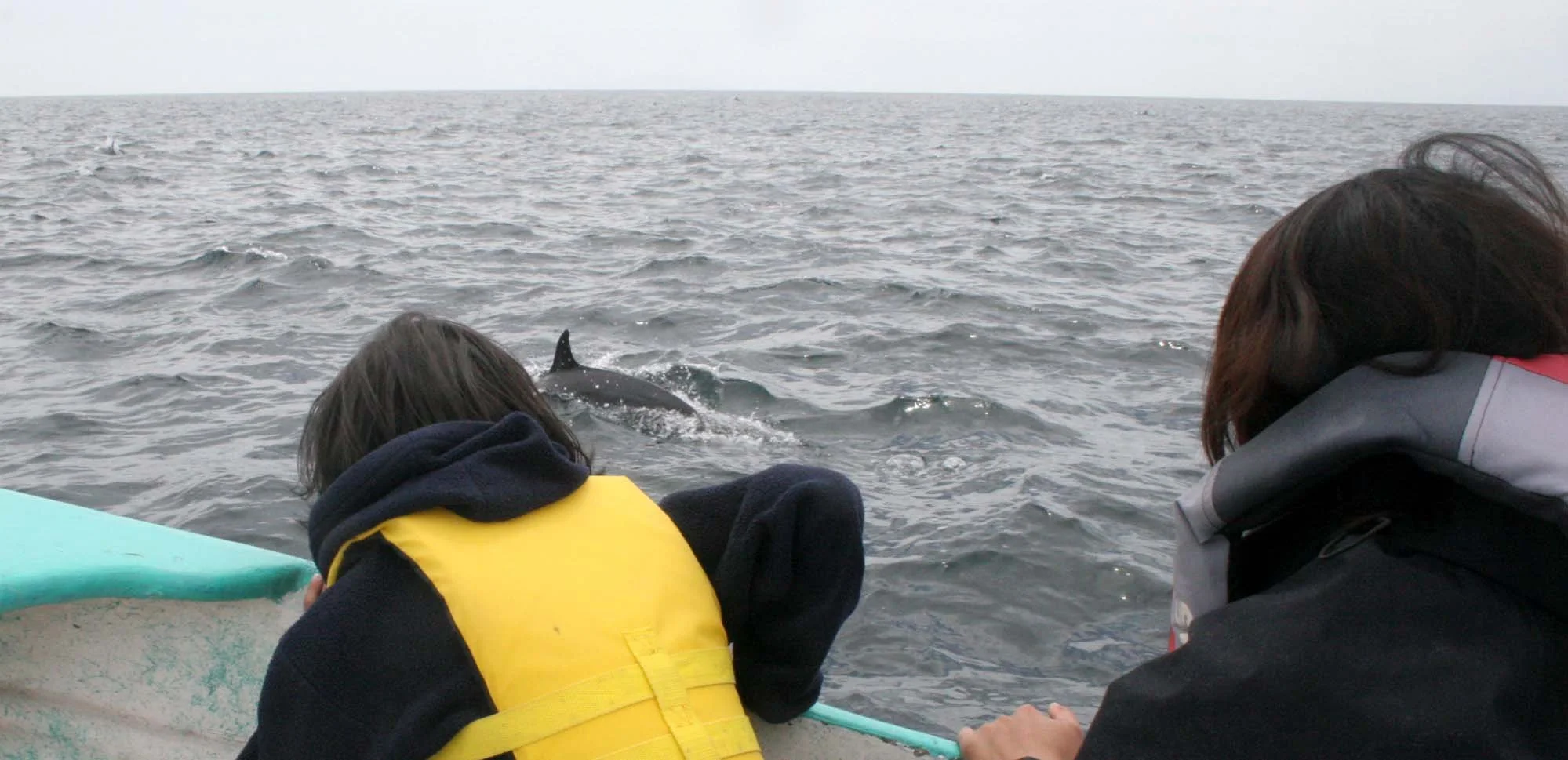BAHIA LORETO NATIONAL MARINE PARK - PANGA RIDE SURFING WITH DOLPHINS (5).JPG