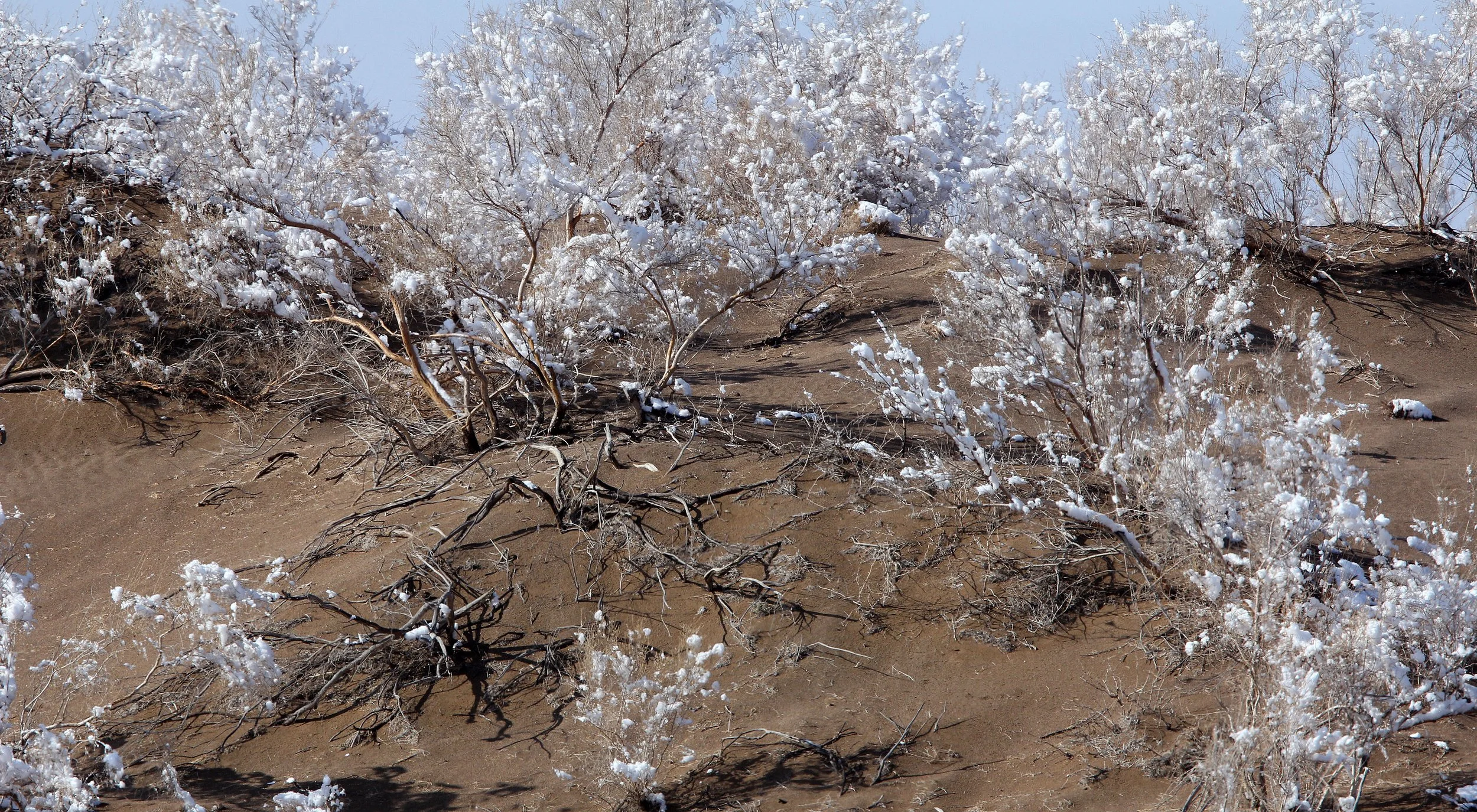KARAMORI NATIONAL NATURE RESERVE - XINJIANG CHINA (51).JPG