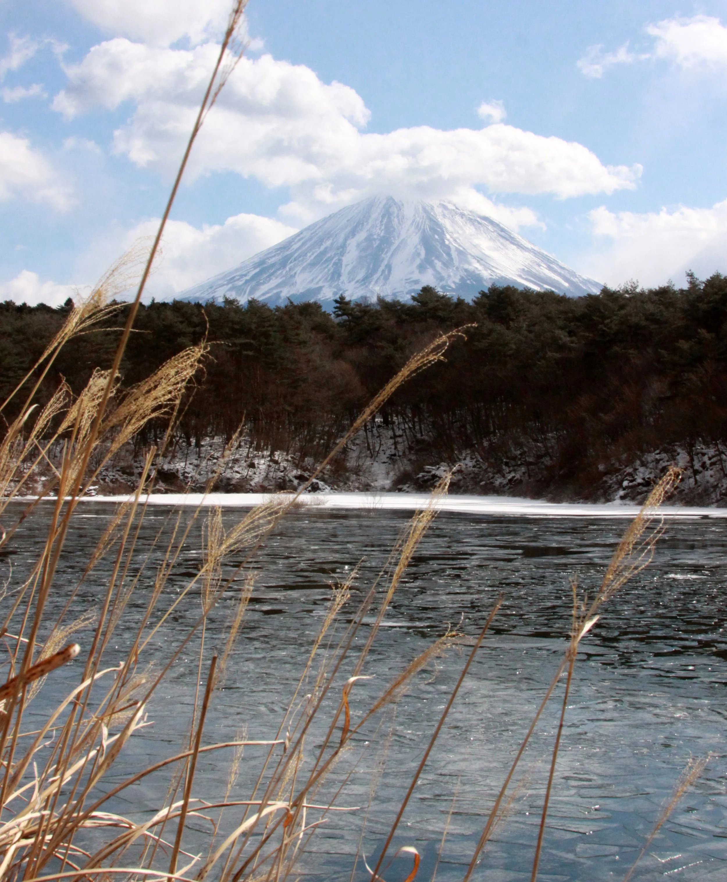 MOUNT FUJI - AS SEEN FROM LAKE SHOJI JAPAN (32).JPG