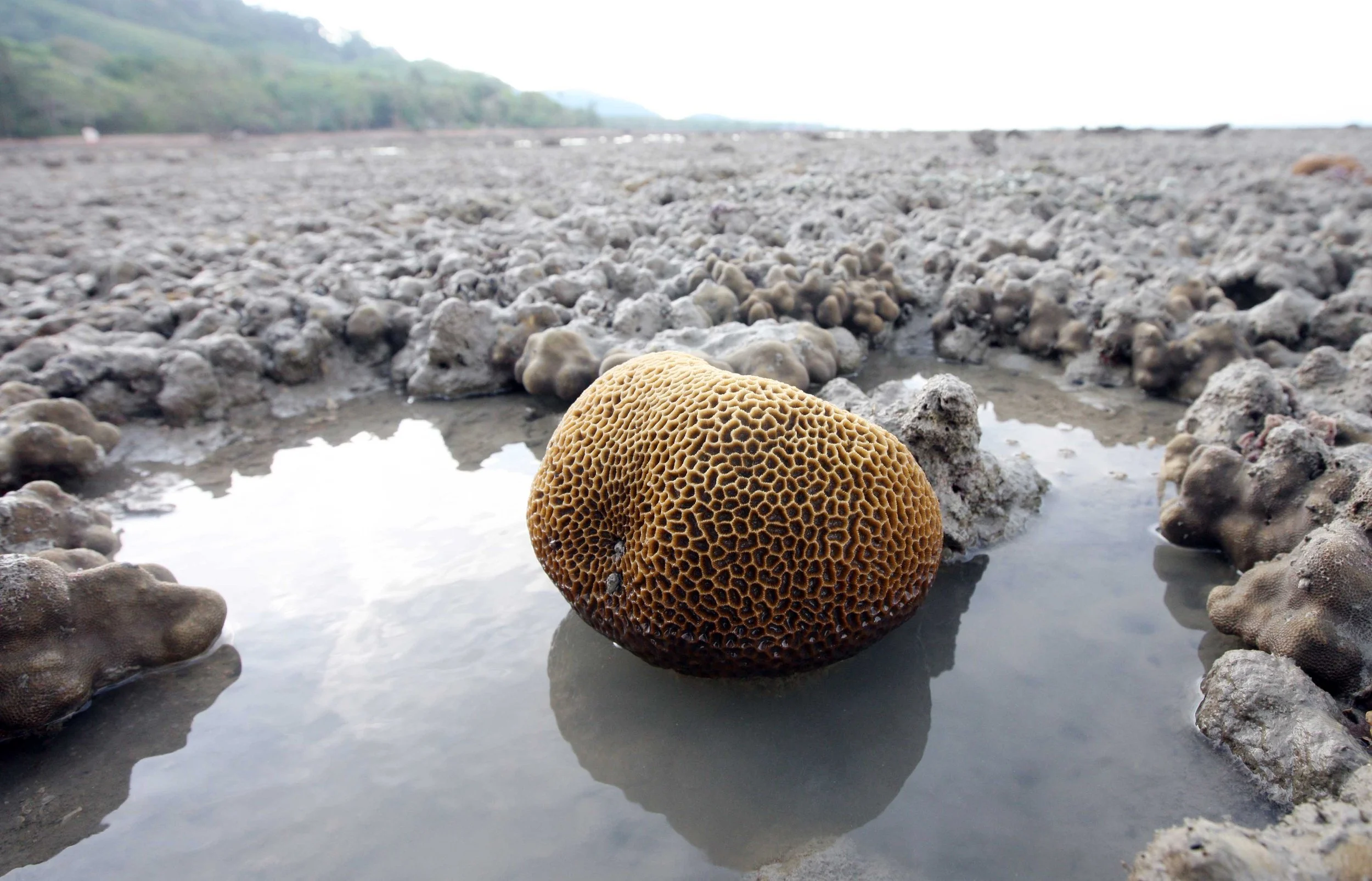 2015 Koh Lanta Songkran with friends from ISB (245).JPG