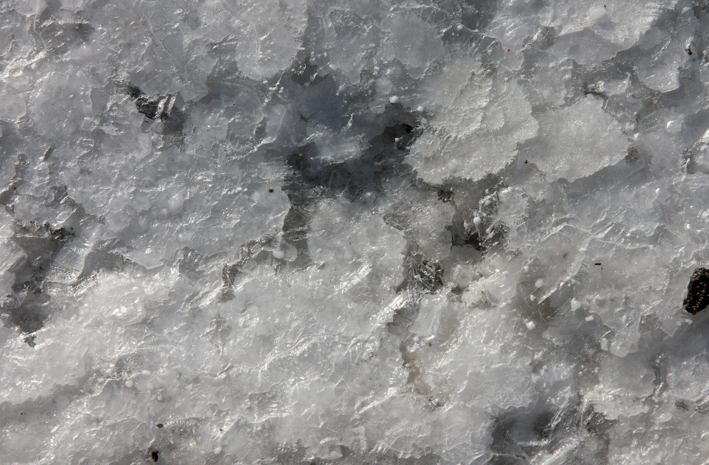 GUJARAT - KUTCH - LITTLE RANN OF KUTCH INDIA (56).JPG