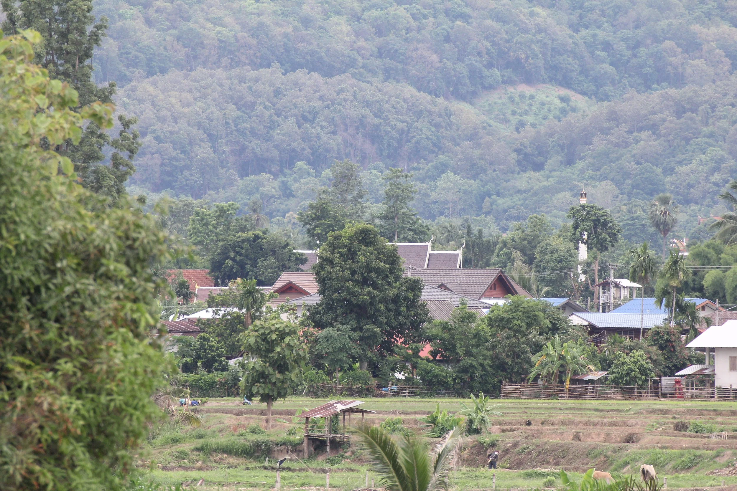 2020 4-5 July Wat Phrathat Beng Sakat North Thailand Tirp (38).JPG
