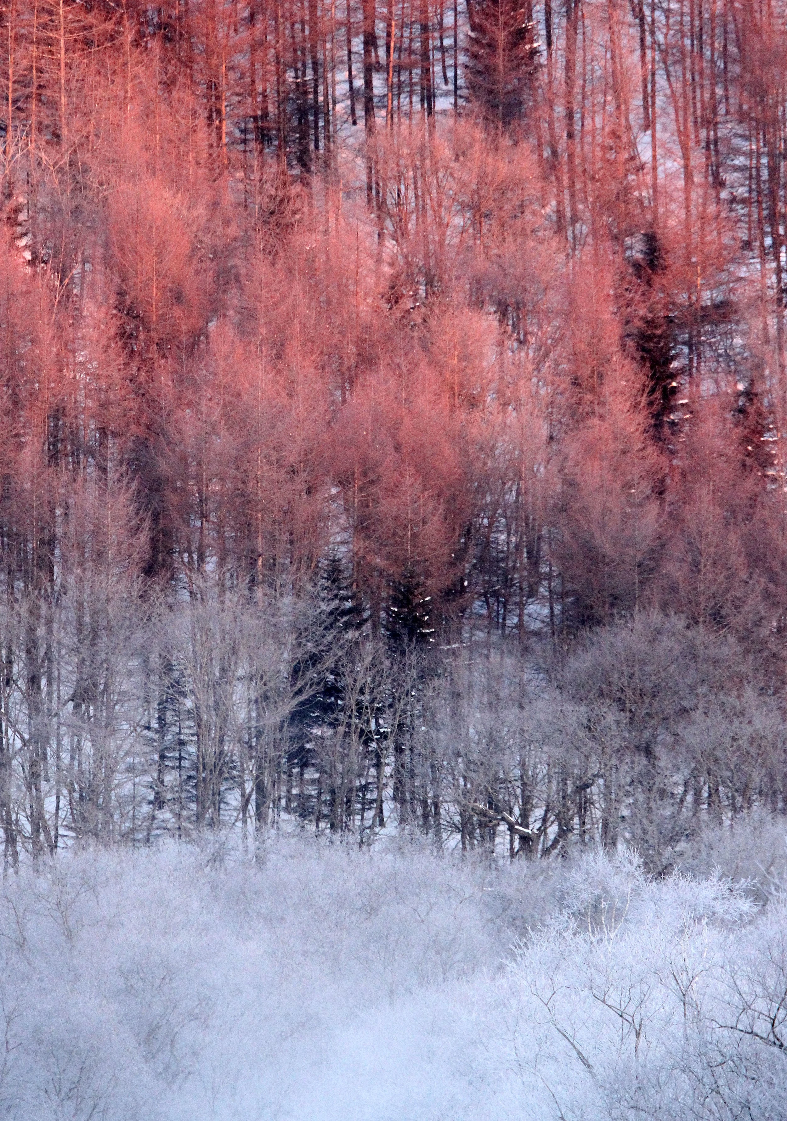 OTOWABASHI SETSUGAWA - TSURUI TOWN - HOKKAIDO JAPAN (11).JPG