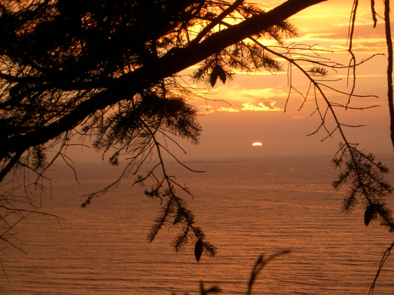 2003-7-31 FAMILY REUNION IN WASHINGTON AND CANADA (236).JPG