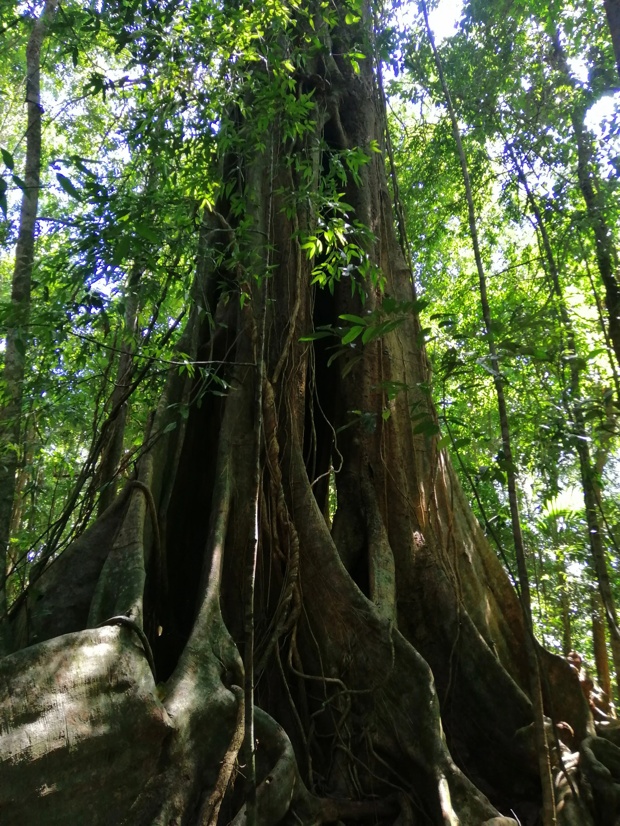 2019 Koh Kood Road Trip (49).jpg