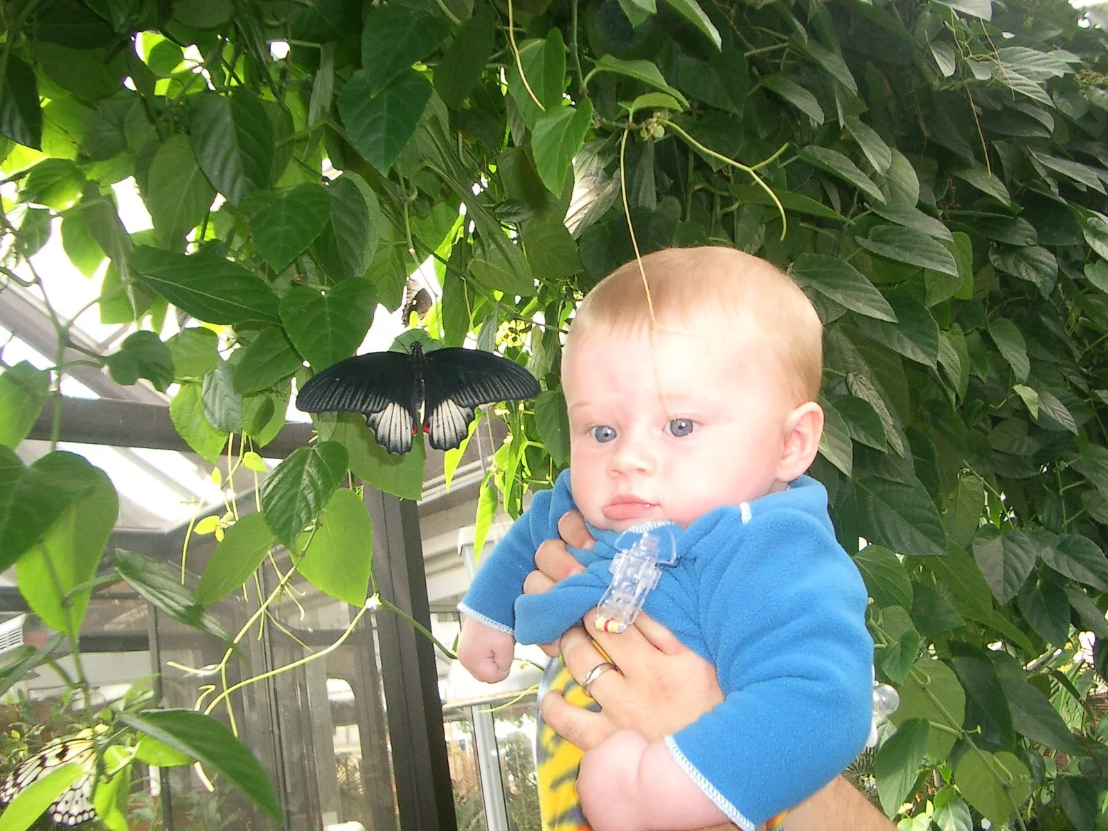 2003-7-31 FAMILY REUNION IN WASHINGTON AND CANADA (237).JPG