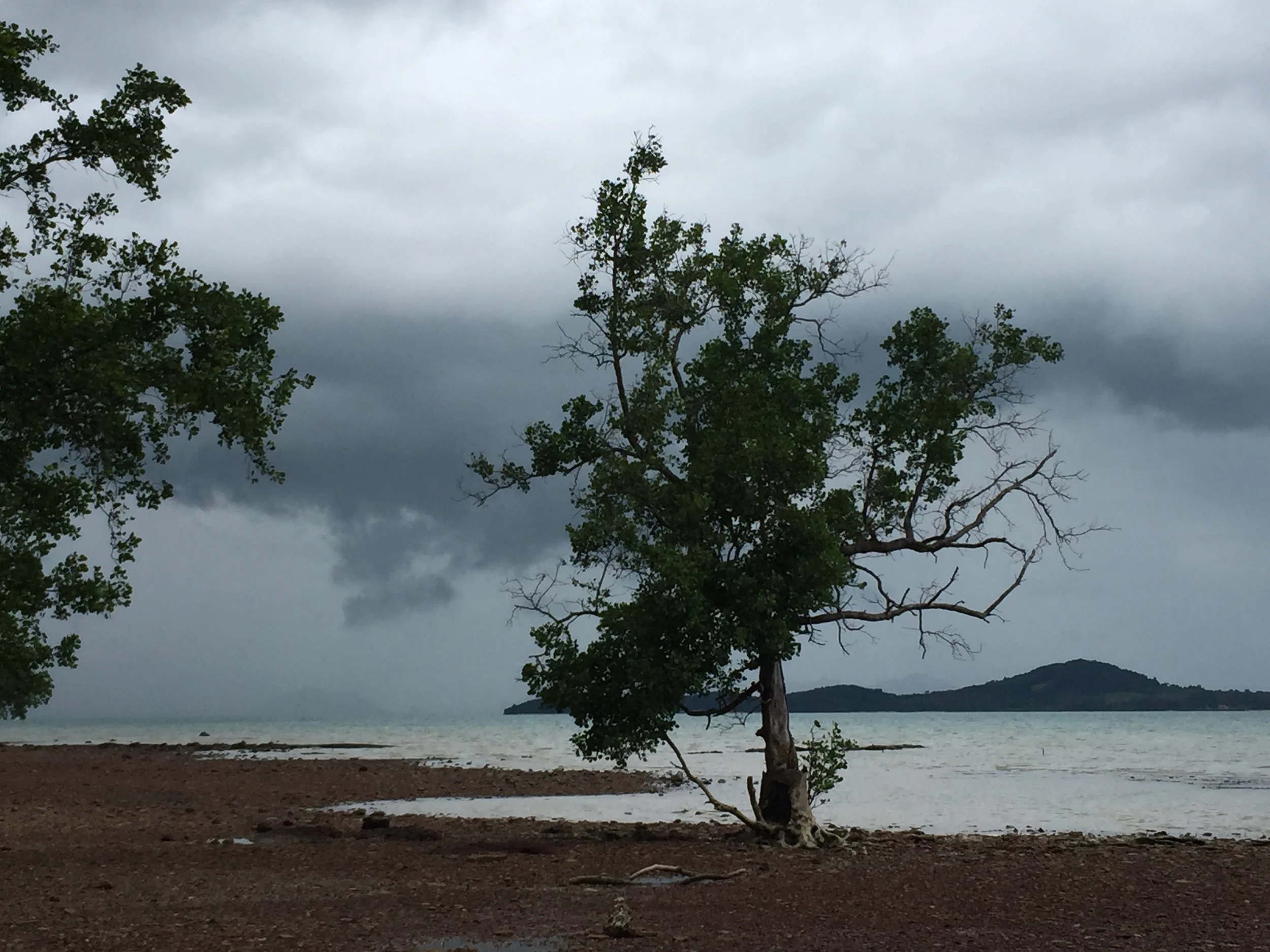 2015 Koh Lanta Garden & Nature (204).JPG