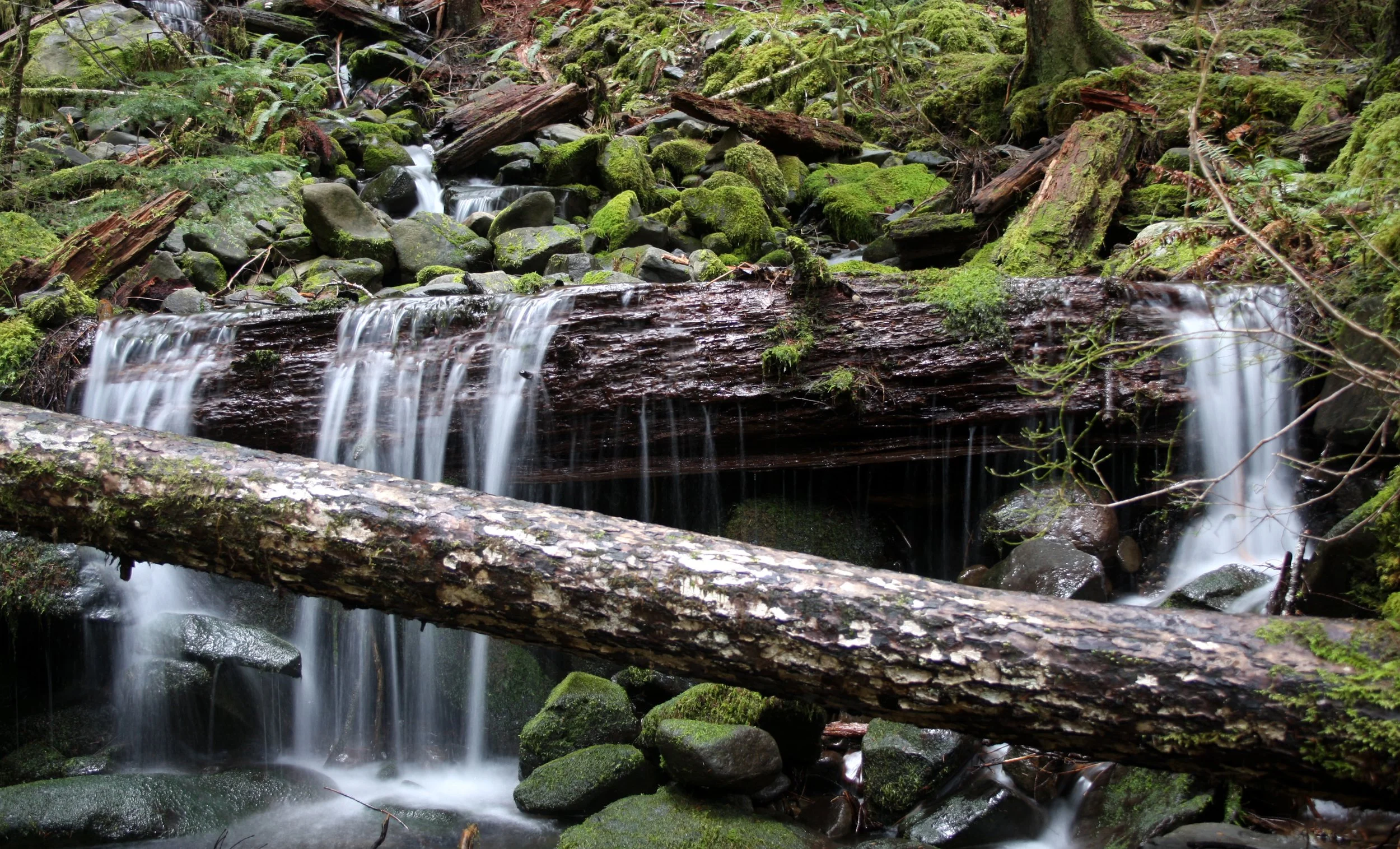 SOL DUC FALLS AND FOREST - ONP WA (87).JPG