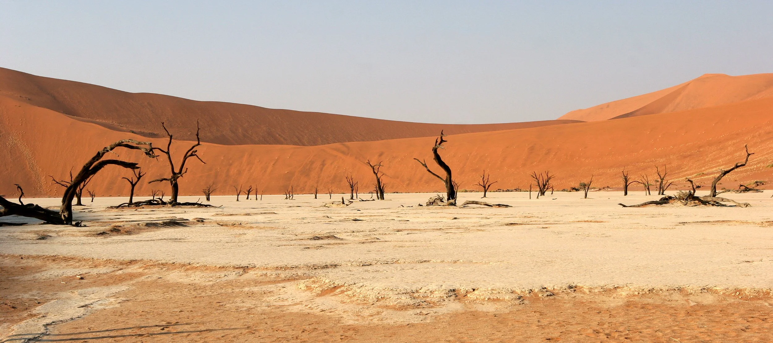 NAMIBIA - SOSSUSVLEI - DEAD VLEI - NAMIBIA (7).JPG