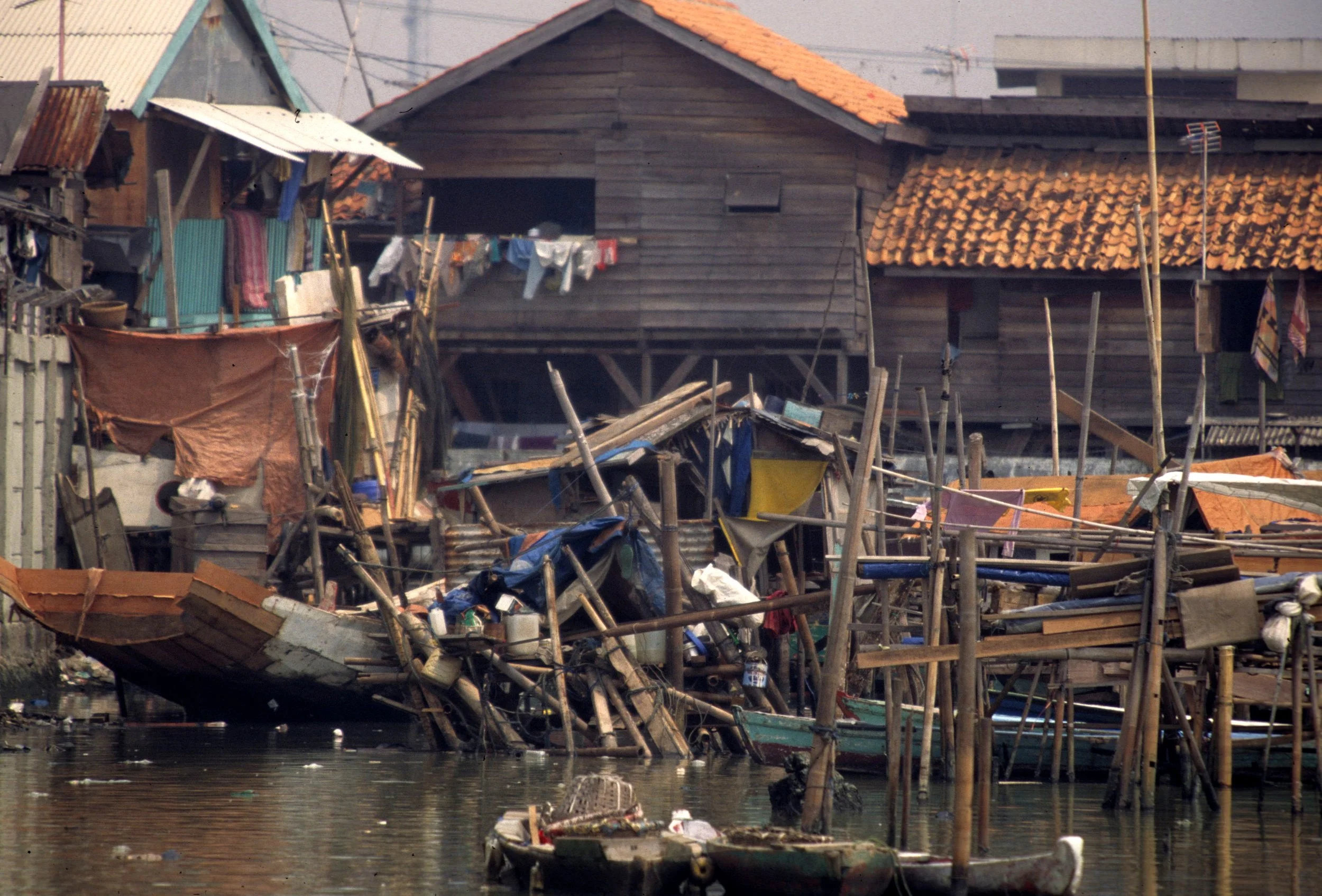 JAVA - DOCK WORKER - 1996 C.jpg