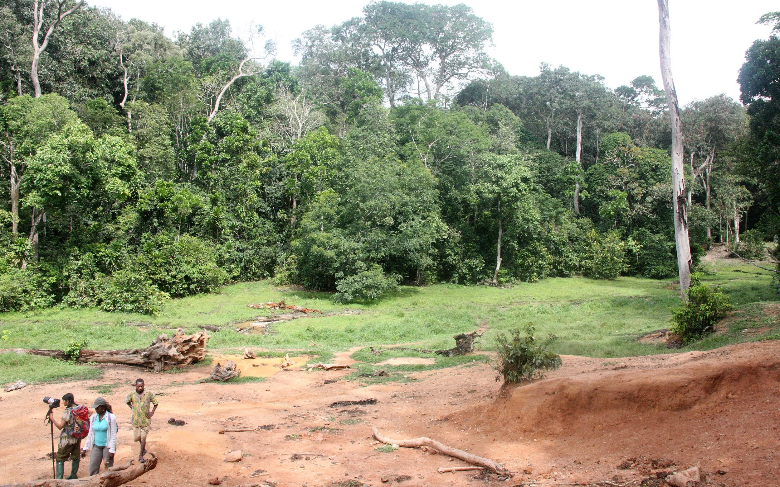 DZANGA NDOKI NATIONAL PARK CENTRAL AFRICAN REPUBLIC (39).JPG