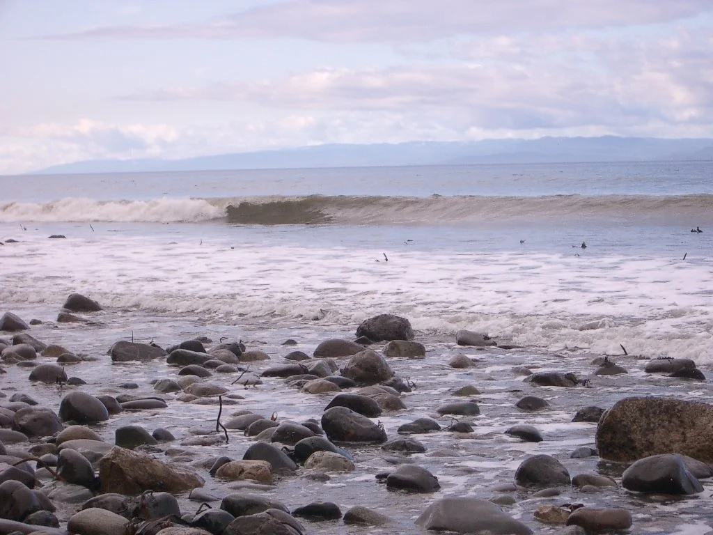 2004-3-12 LAKE FARM DAY AT THE BEACH (16).JPG