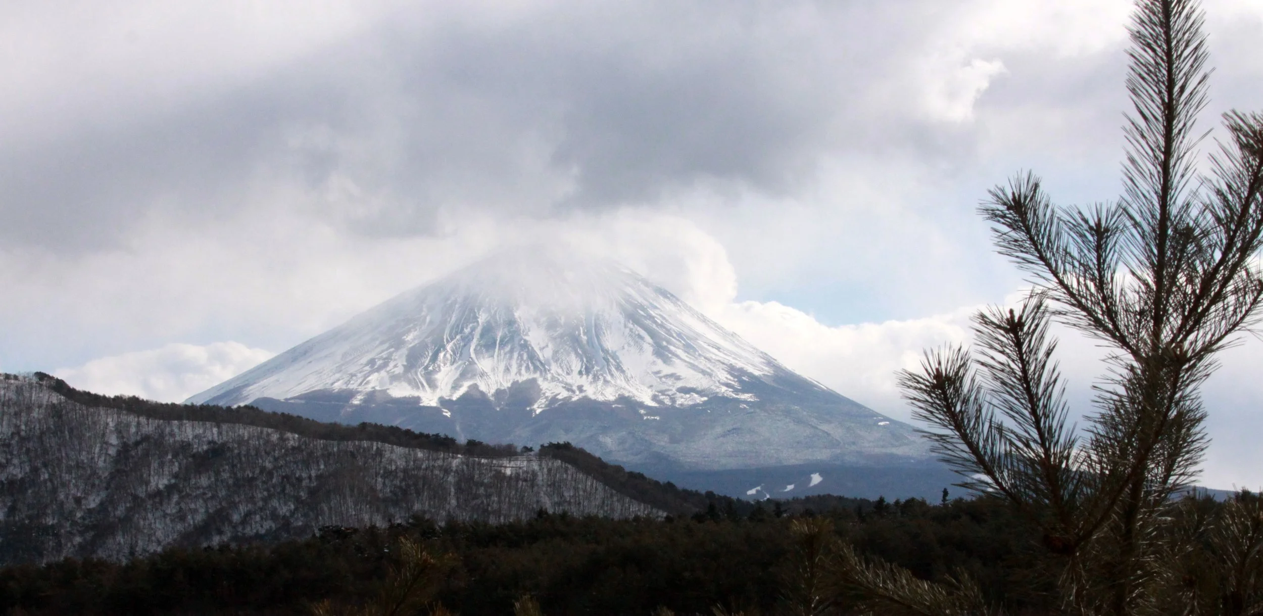 MOUNT FUJI - AS SEEN FROM SAIKOYACHONOMORI PARK JAPAN (10).JPG