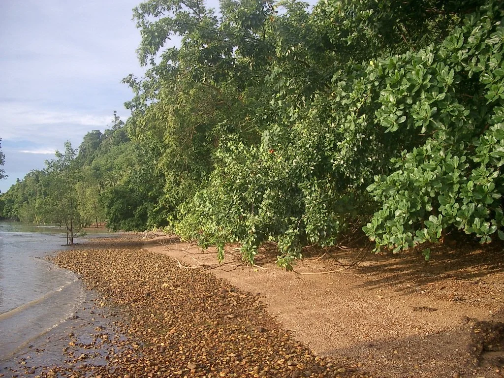 KOH LANTA - PROPERTY - 2004 (58).JPG