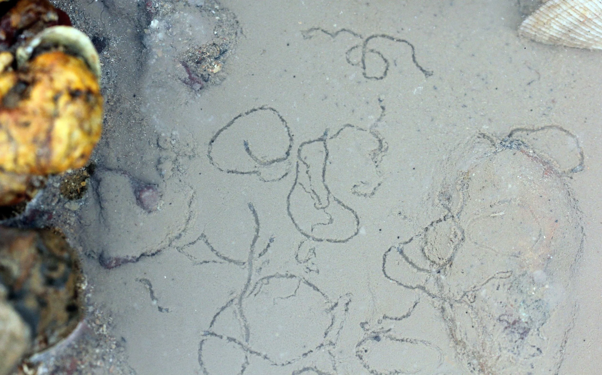 2015 Koh Lanta Songkran with friends from ISB (698).JPG